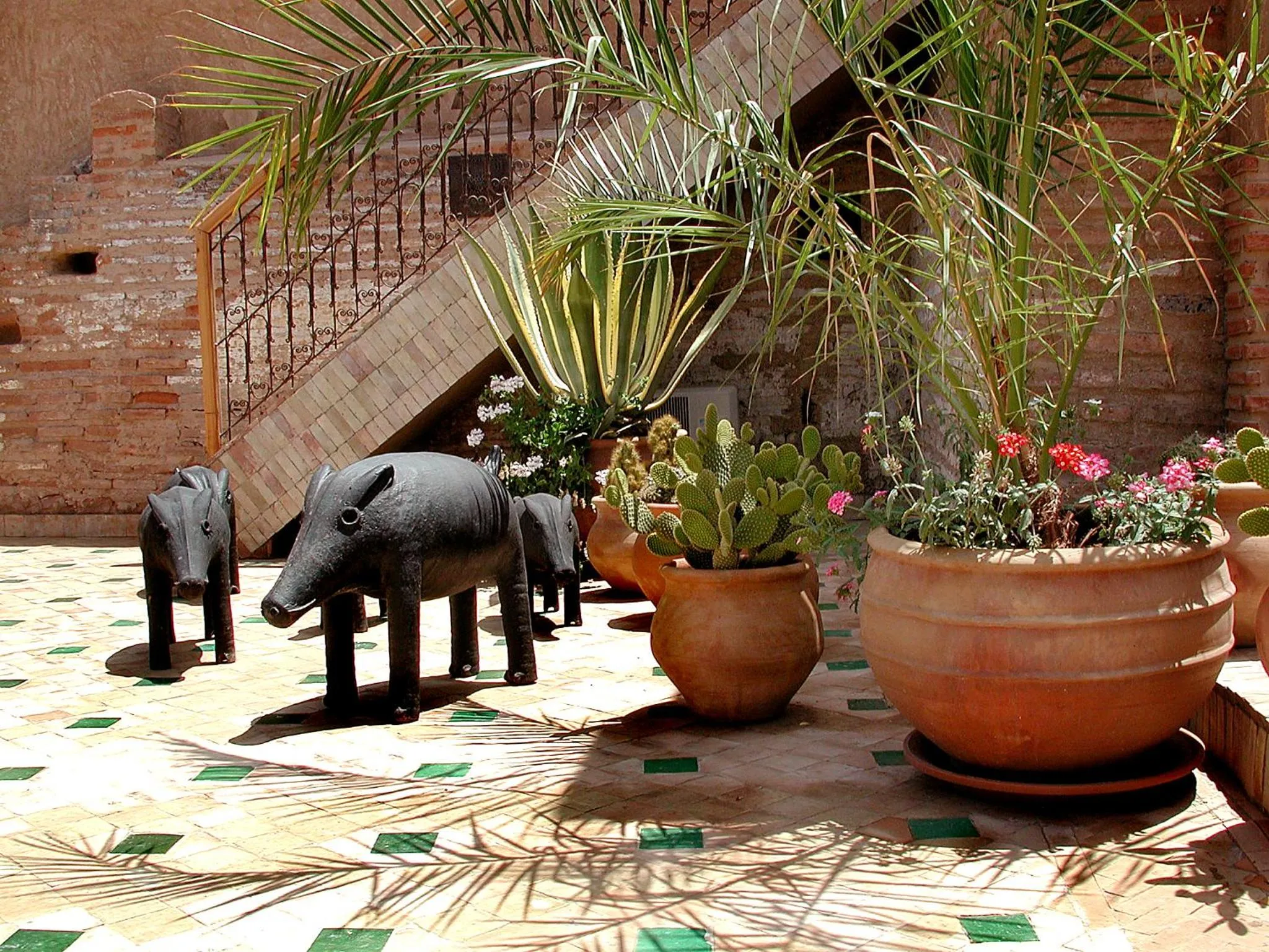 Balcony/Terrace in Riad Aladdin - FERME