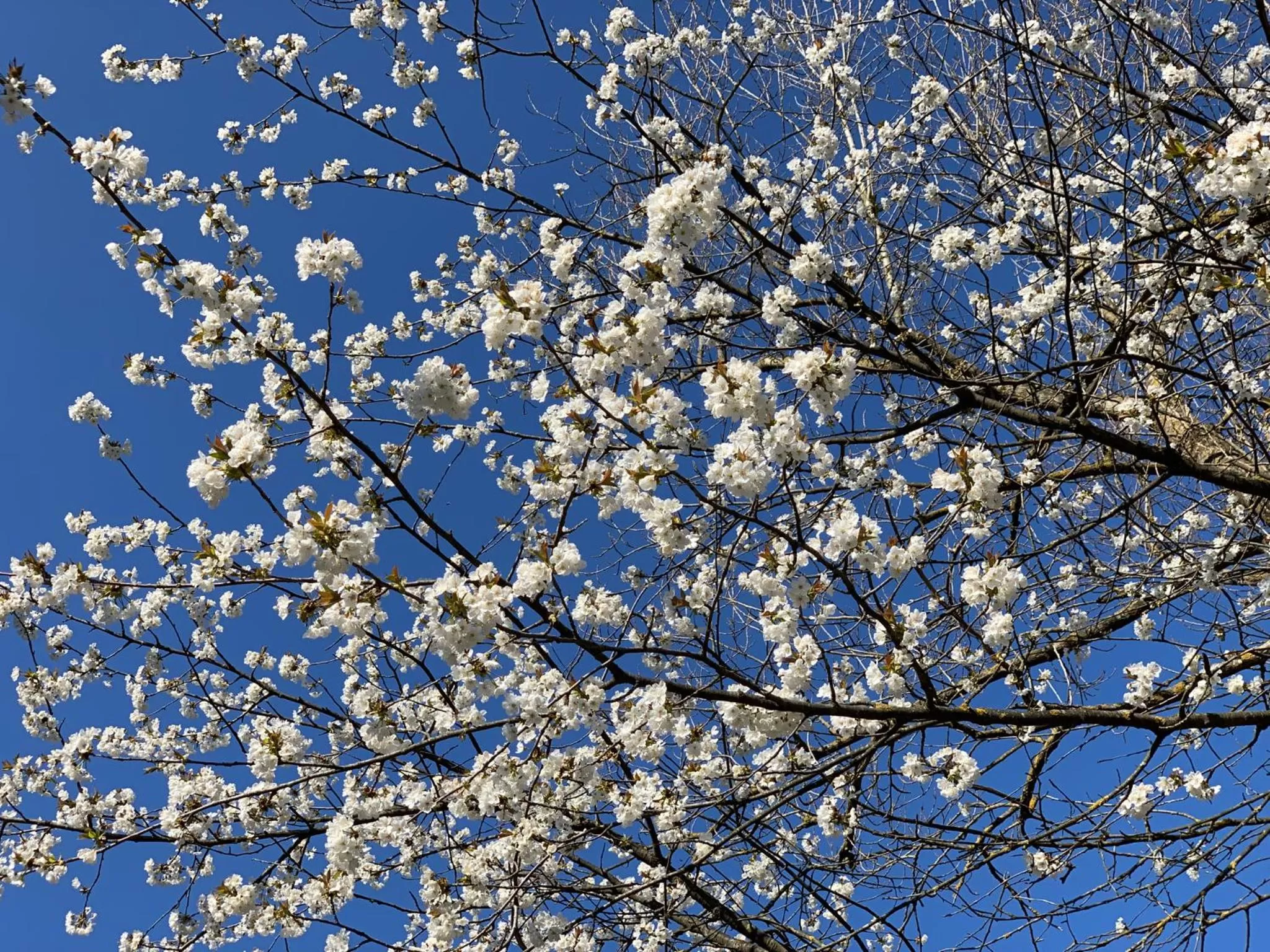 Hiking in La Forestale Luxury Ecolodge B&B Primo Piano