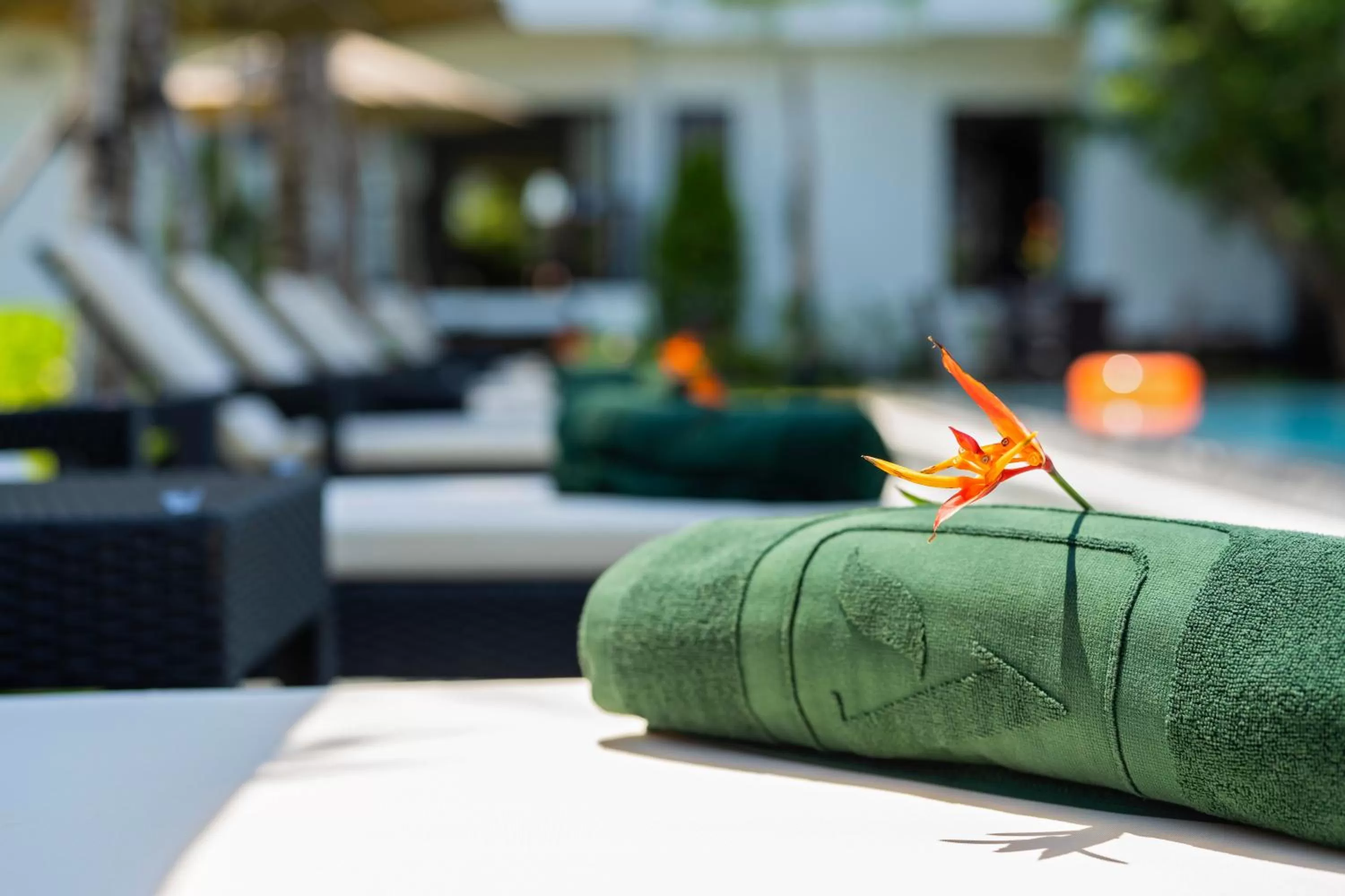 Swimming pool in Athenia Hoi An Boutique Hotel & Spa