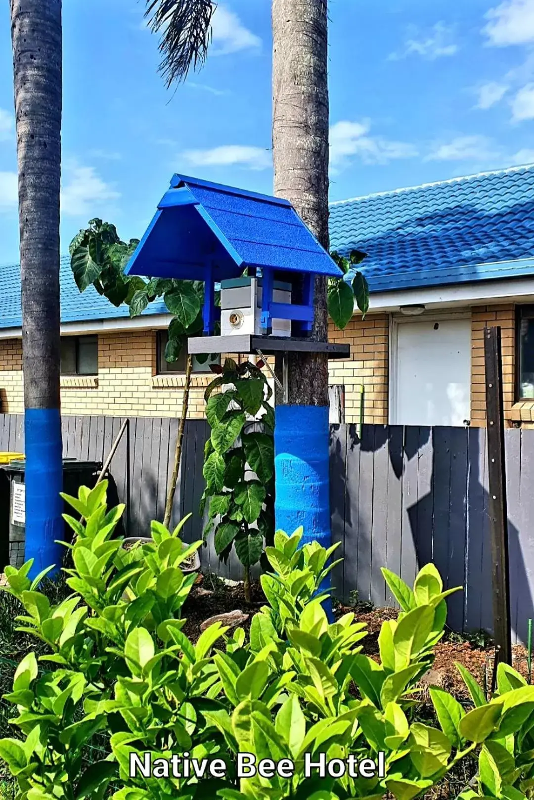 Animals, Property Building in City Lights Motel