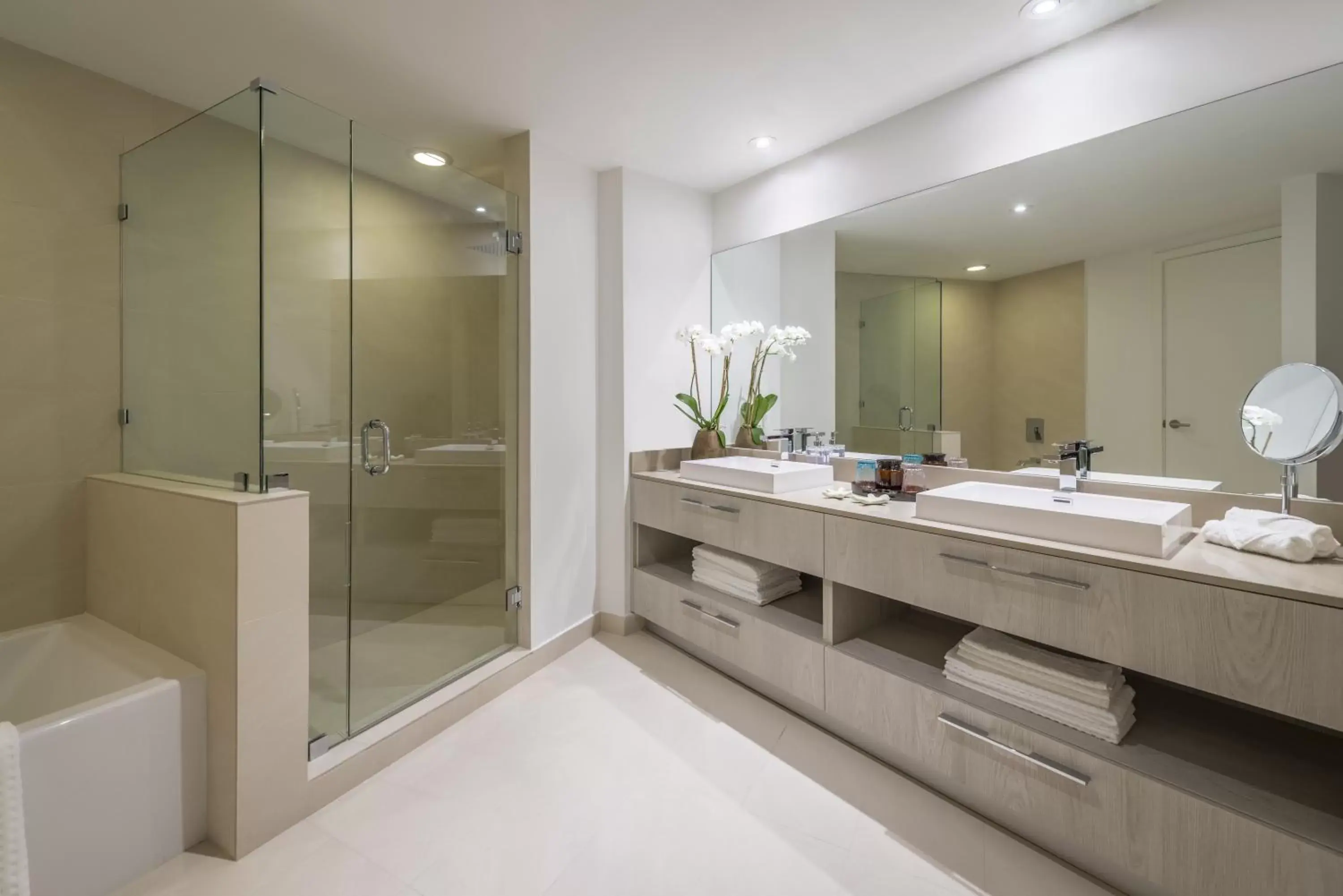 Shower in Hyde Resort & Residences