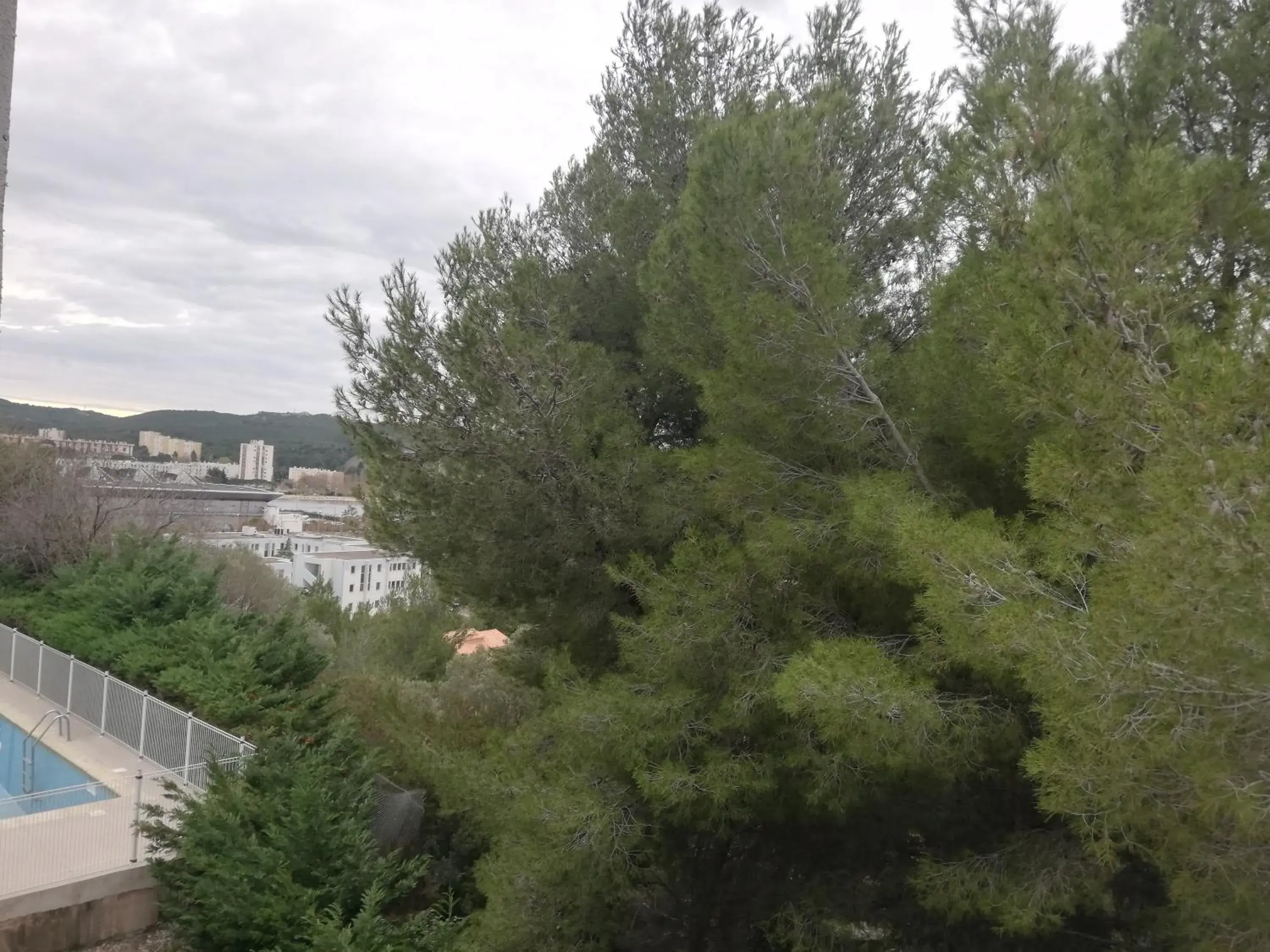 Garden view in Hôtel Saint Roch