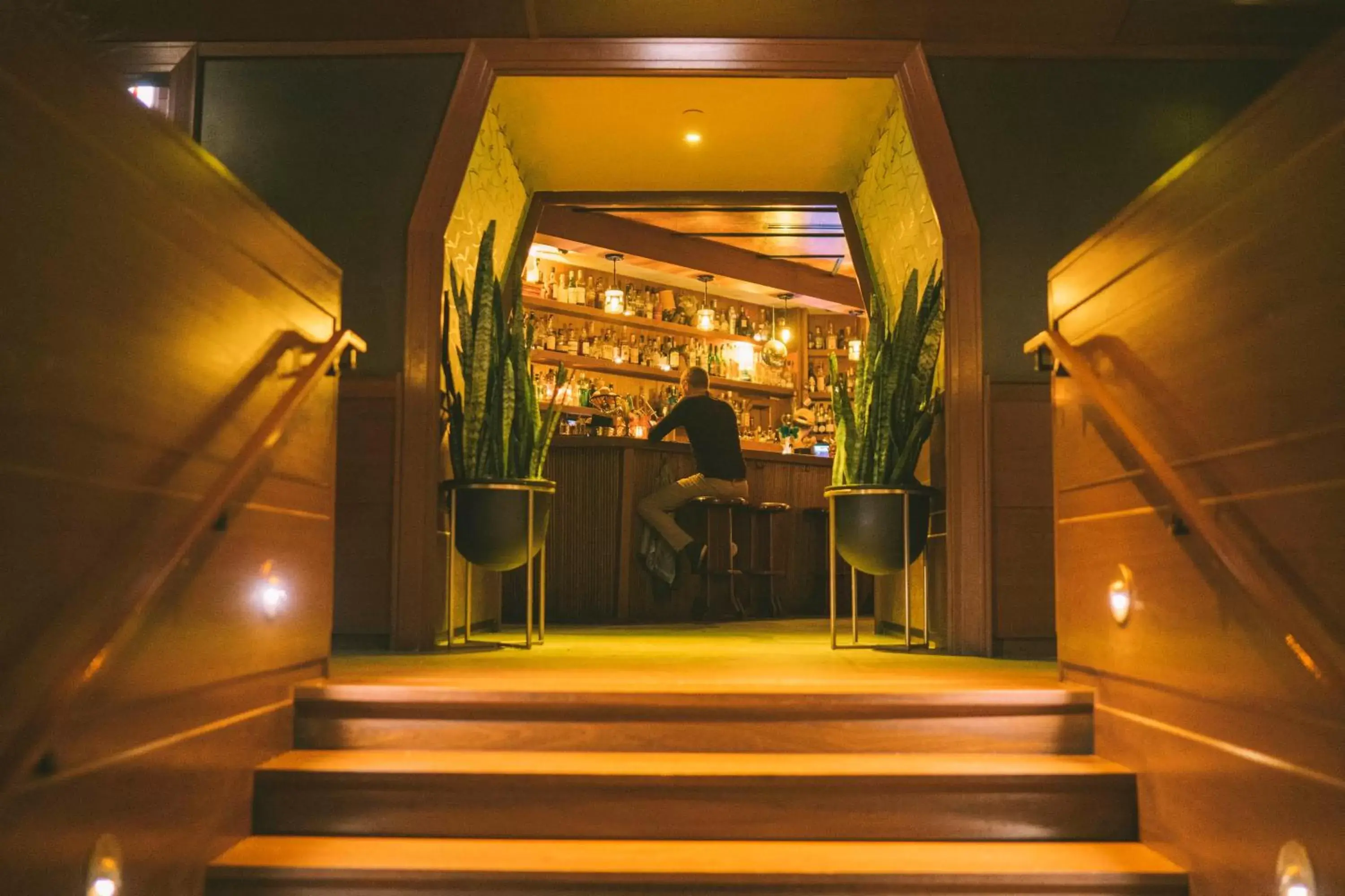 Lounge or bar in Freehand Chicago Lounge or bar in Freehand Chicago