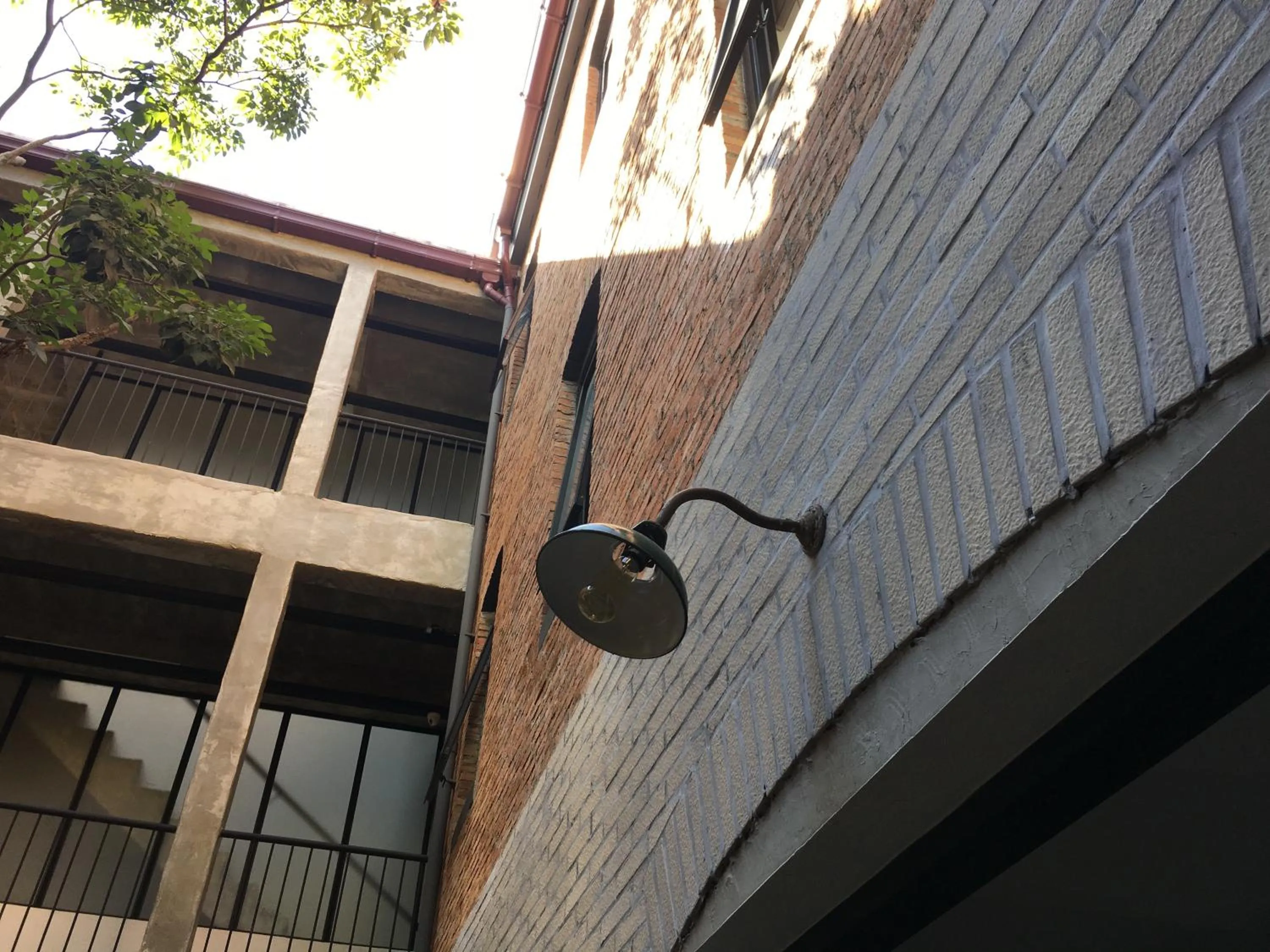 Garden in Hotel Noir