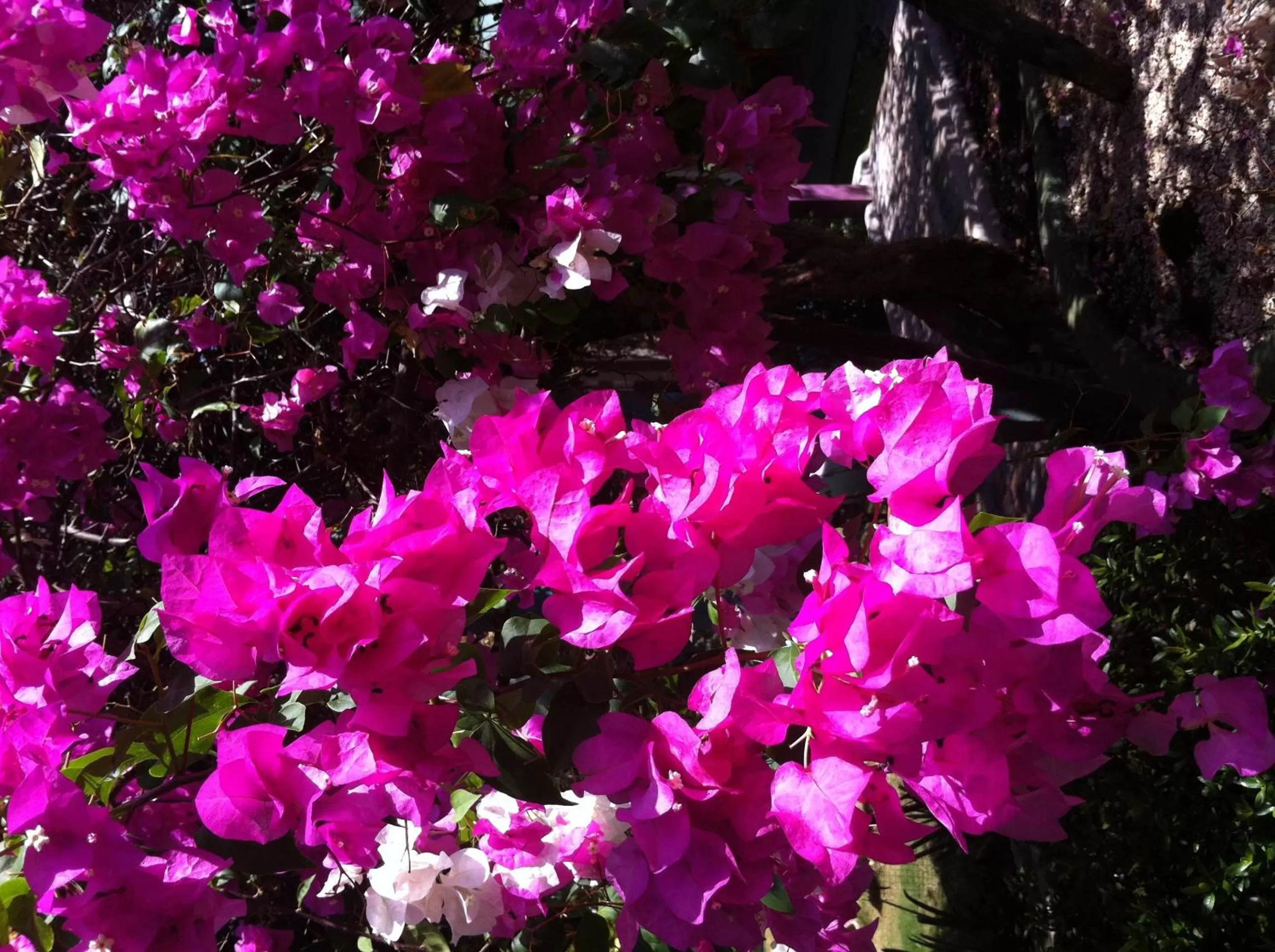 Day in Hotel Marielos