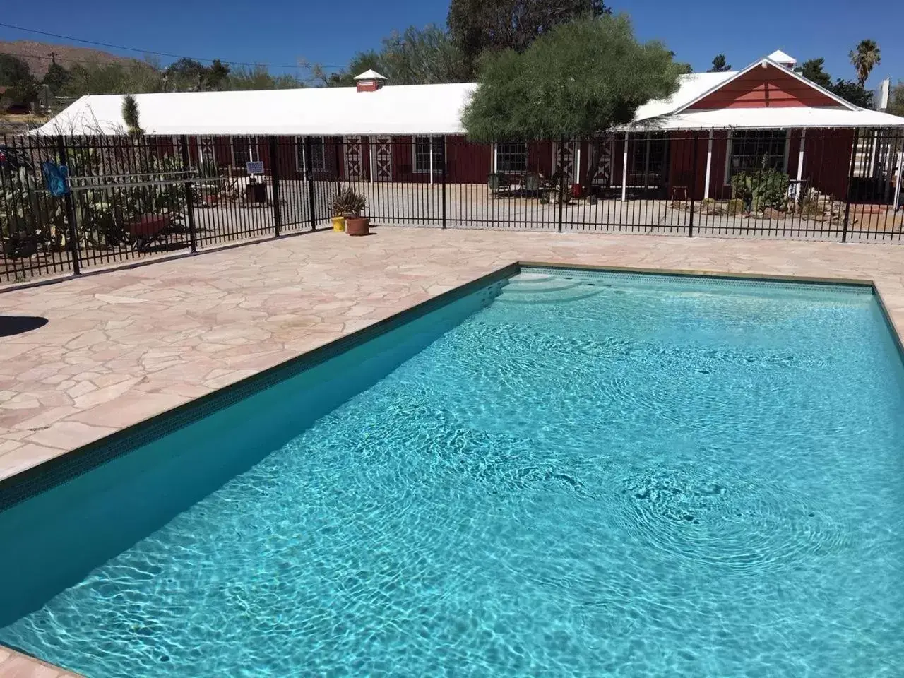 Swimming Pool in Joshua Tree Ranch House