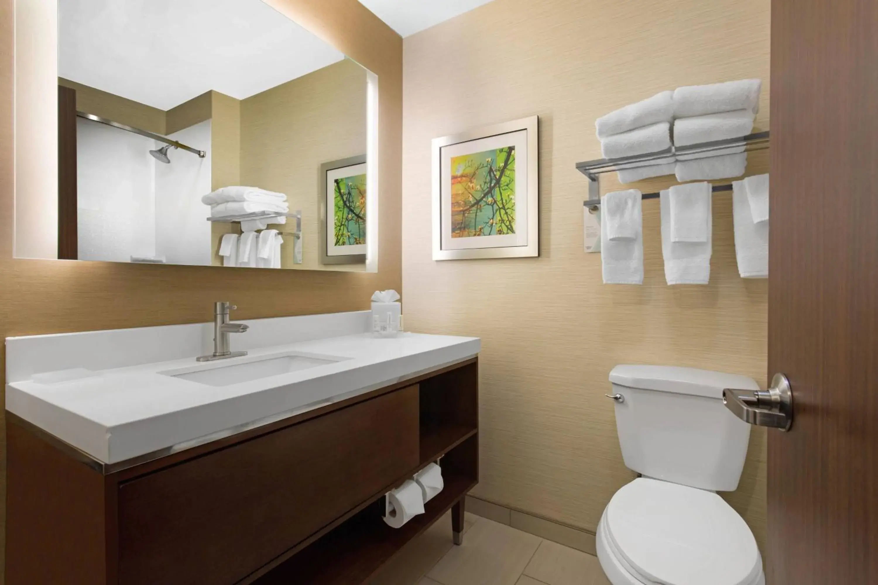 Bathroom in Fairfield Inn & Suites by Marriott Santa Fe