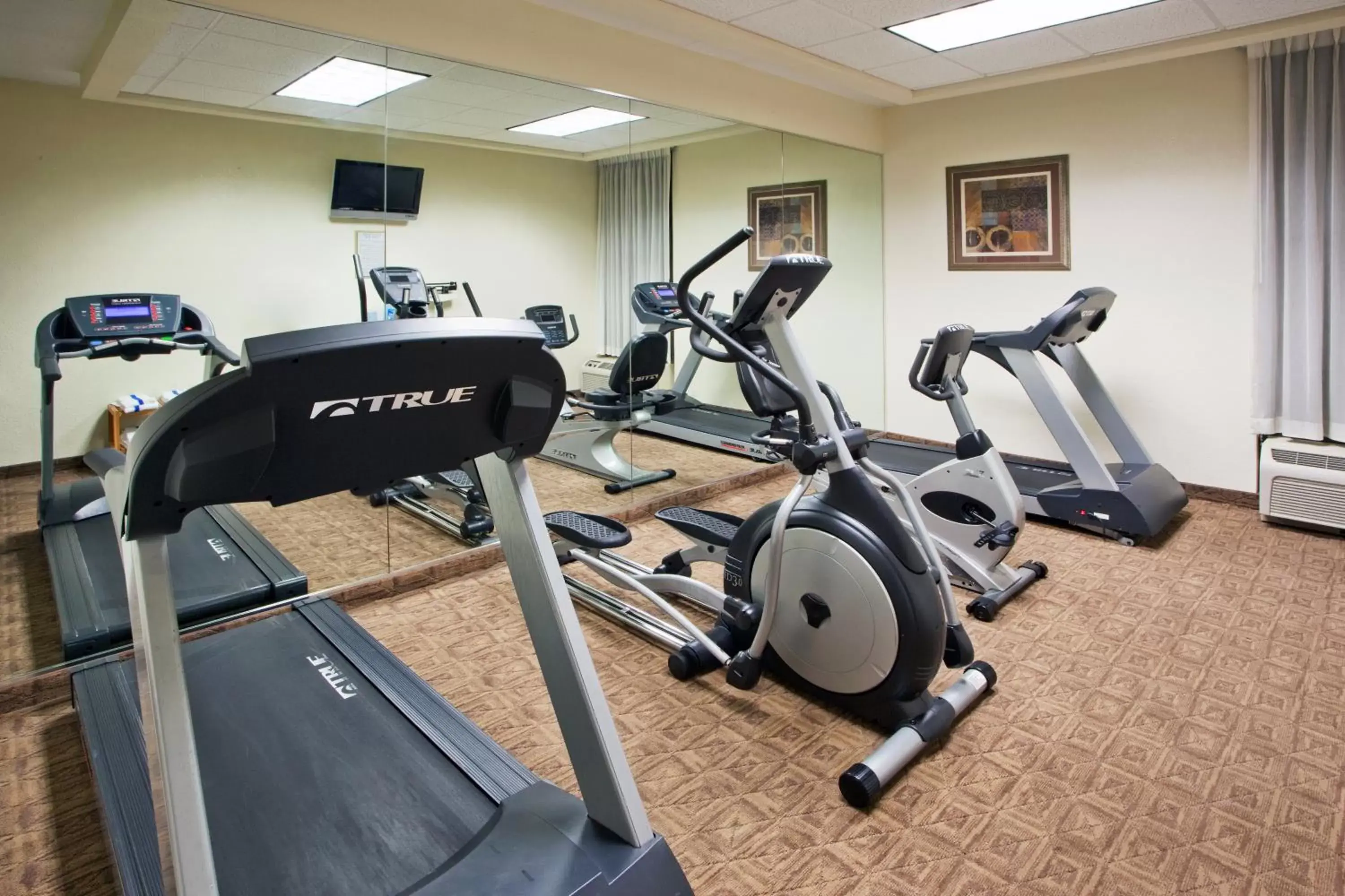 Fitness centre/facilities, Fitness Center/Facilities in Holiday Inn Express Washington DC East- Andrews AFB, an IHG Hotel