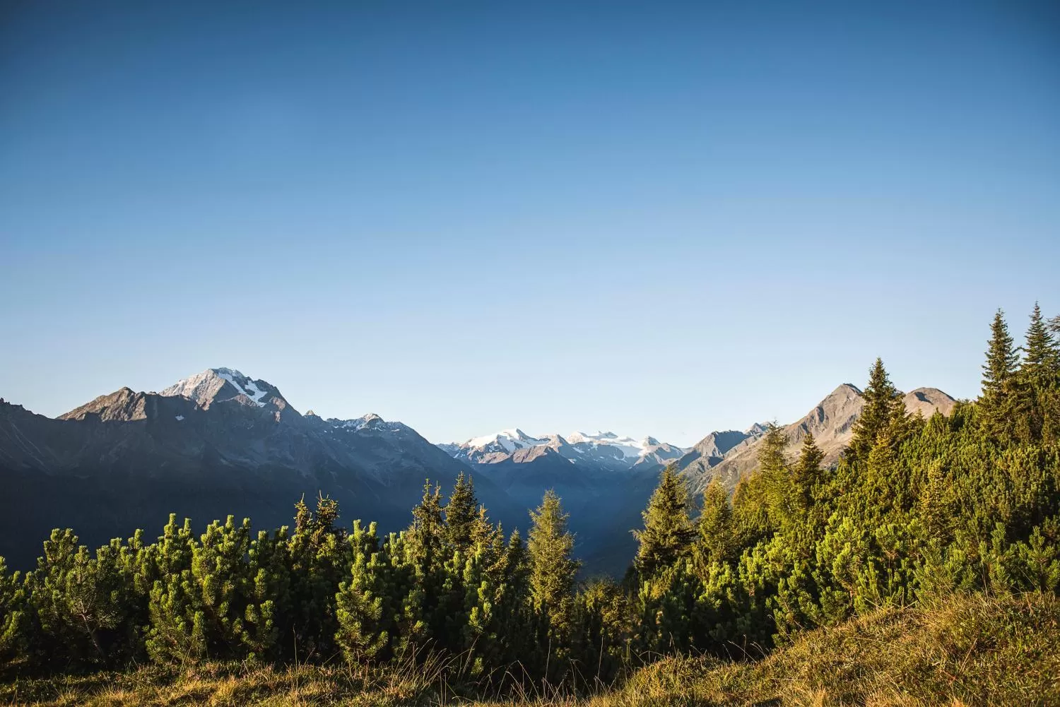 Natural landscape in Gasthof Sportalm