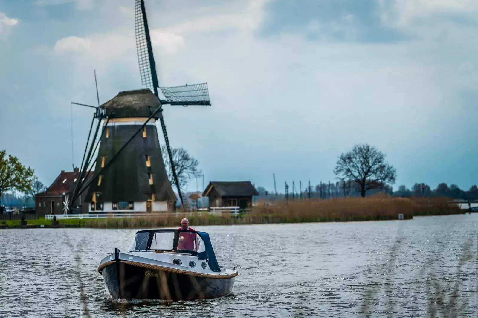 Natural landscape in B&B Bleiswijk