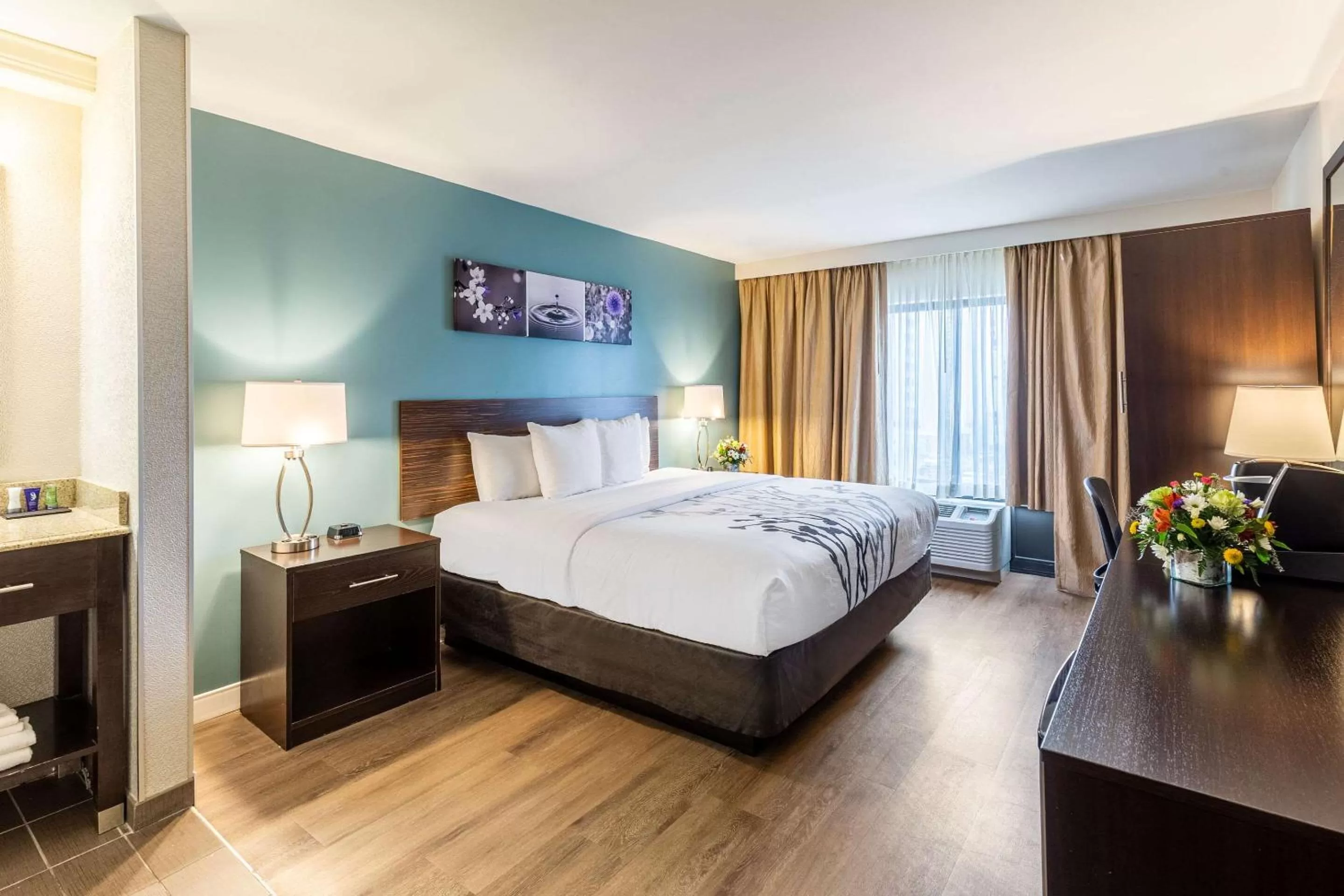 Standard King Room with Boulevard View - Non-Smoking  in Sleep Inn on the Beach