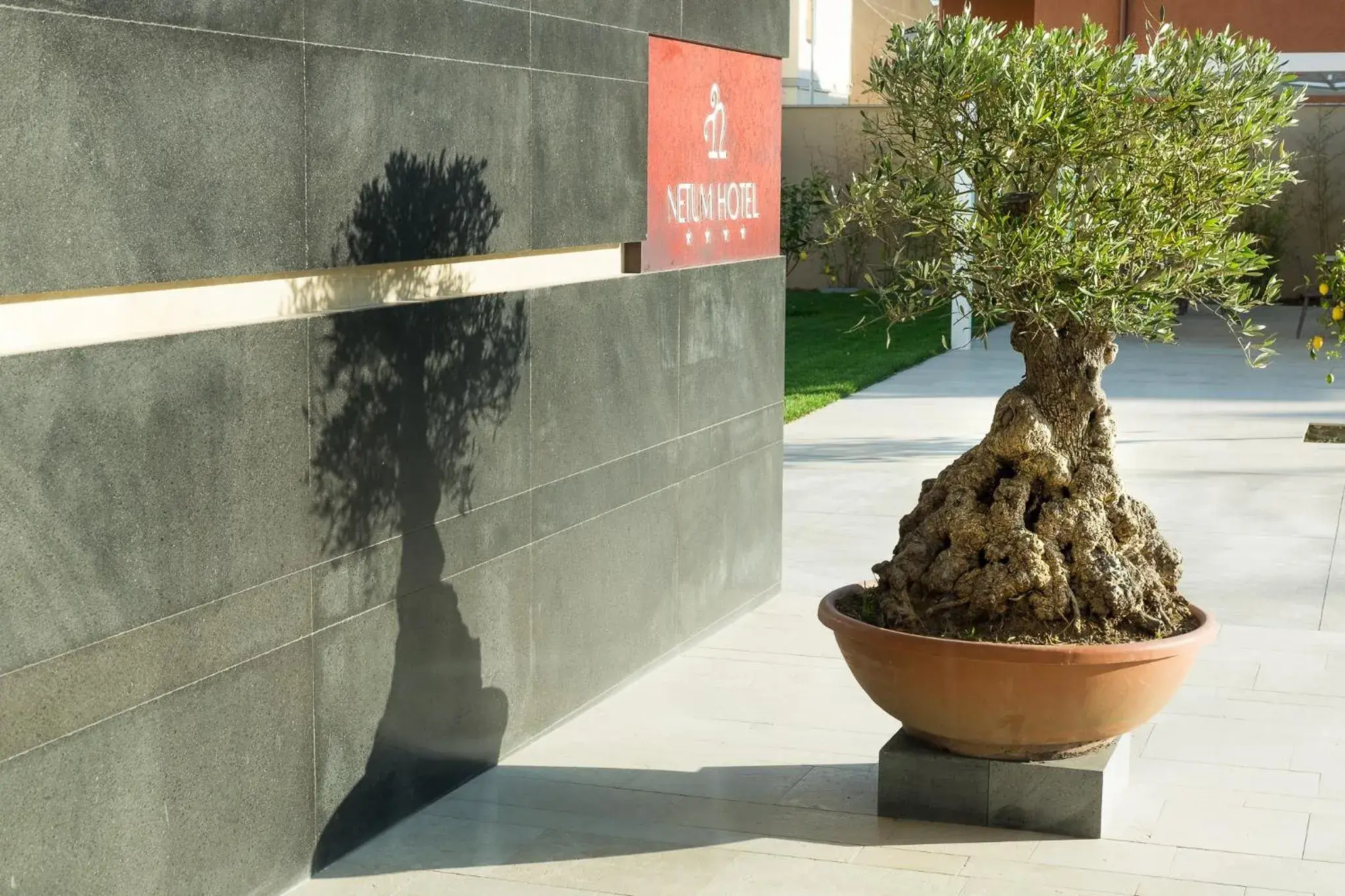 Facade/entrance in Netum Hotel Facade/entrance in Netum Hotel