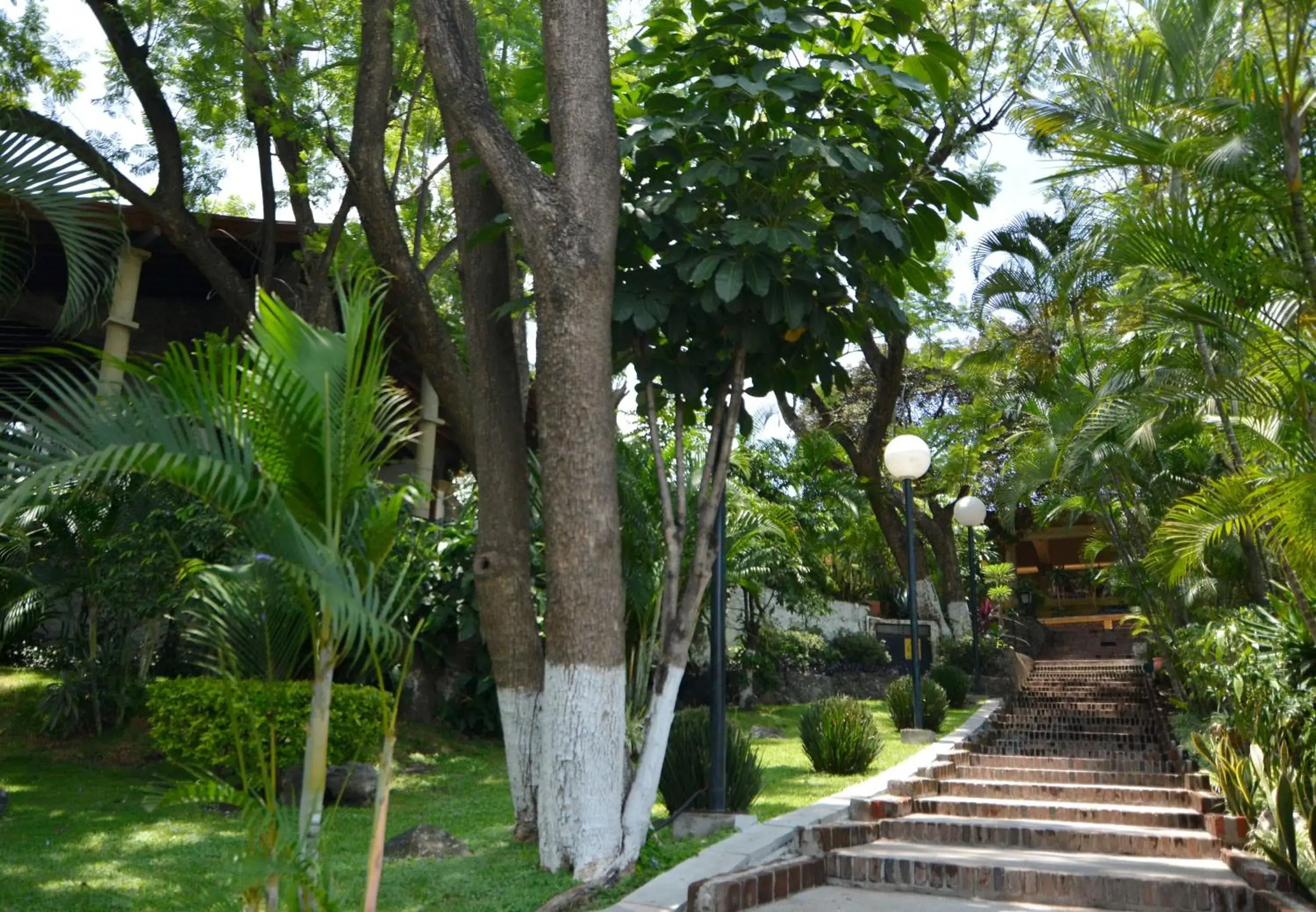 Garden in Hotel Coral Cuernavaca Resort & Spa