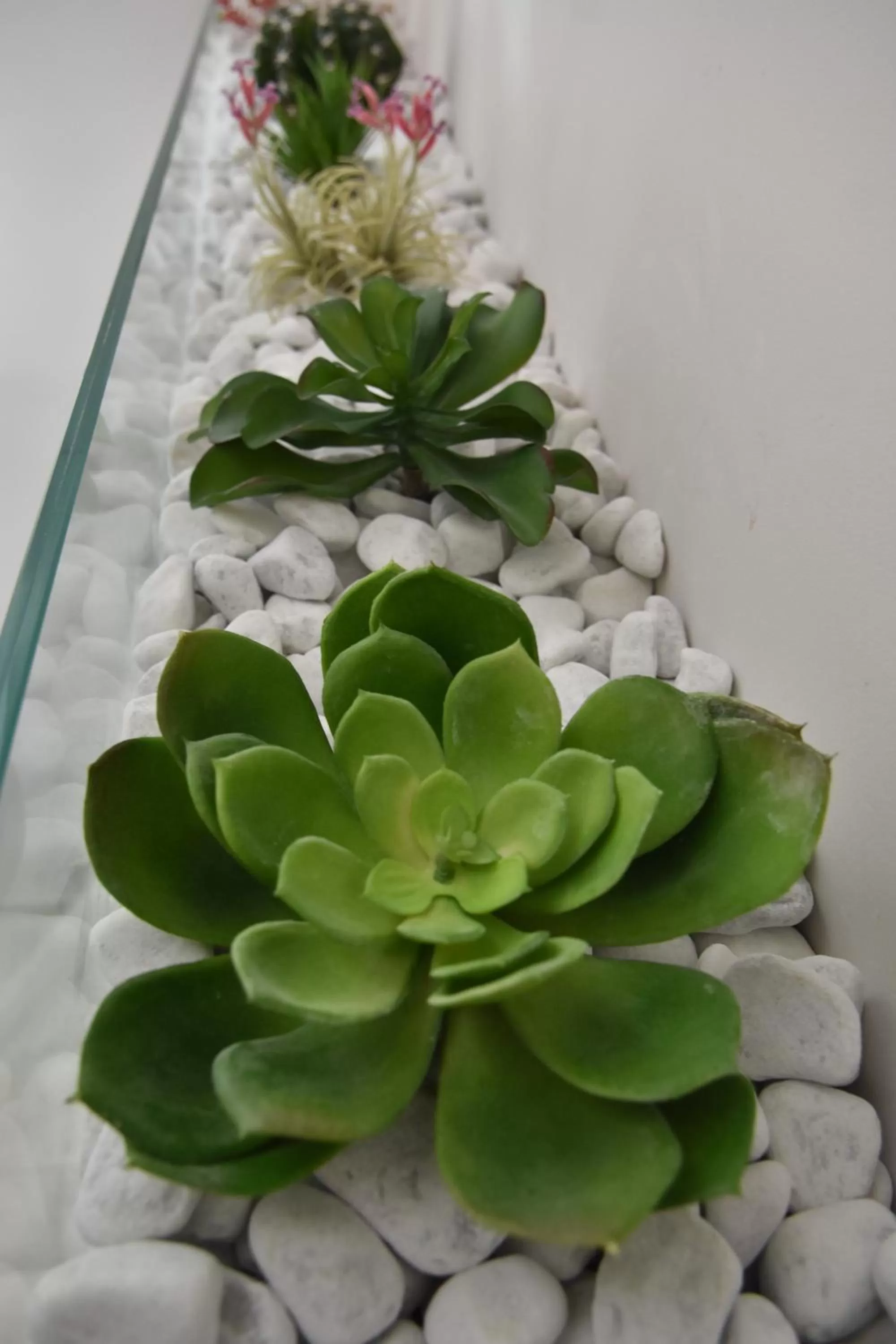 Decorative detail in Finestre sul Borgo