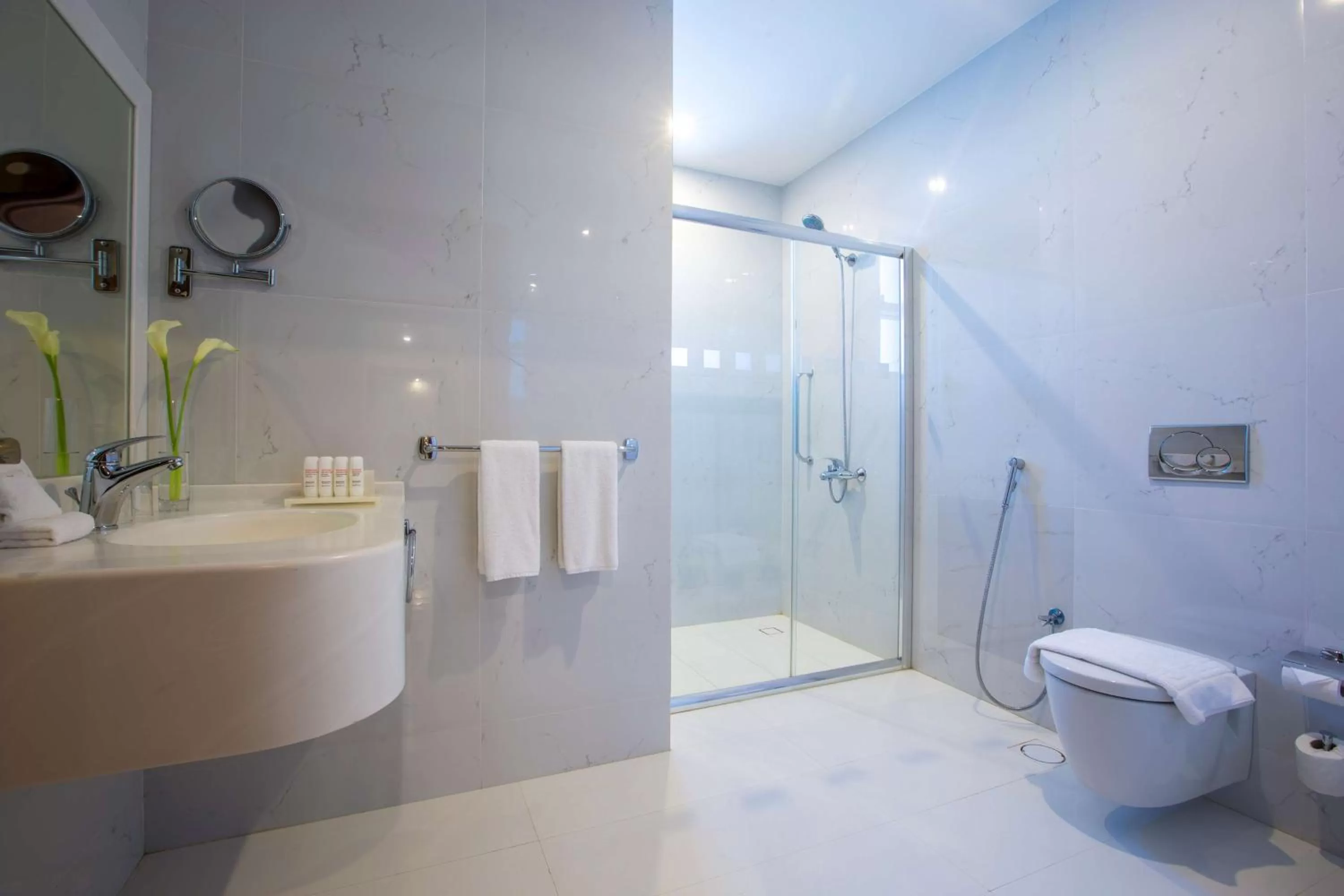 Bathroom in Radisson Blu Plaza Jeddah