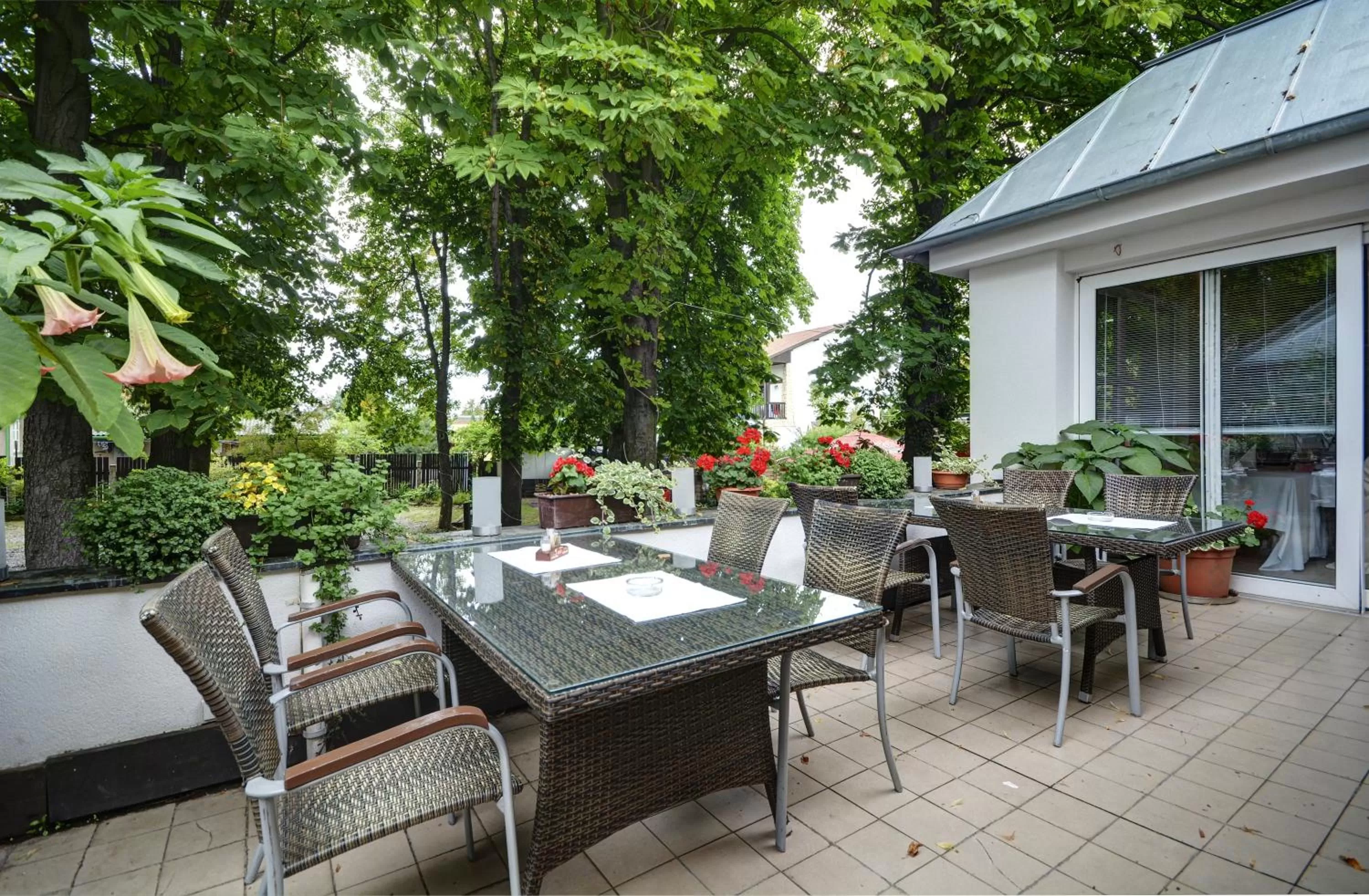 Patio in Hotel Svornost