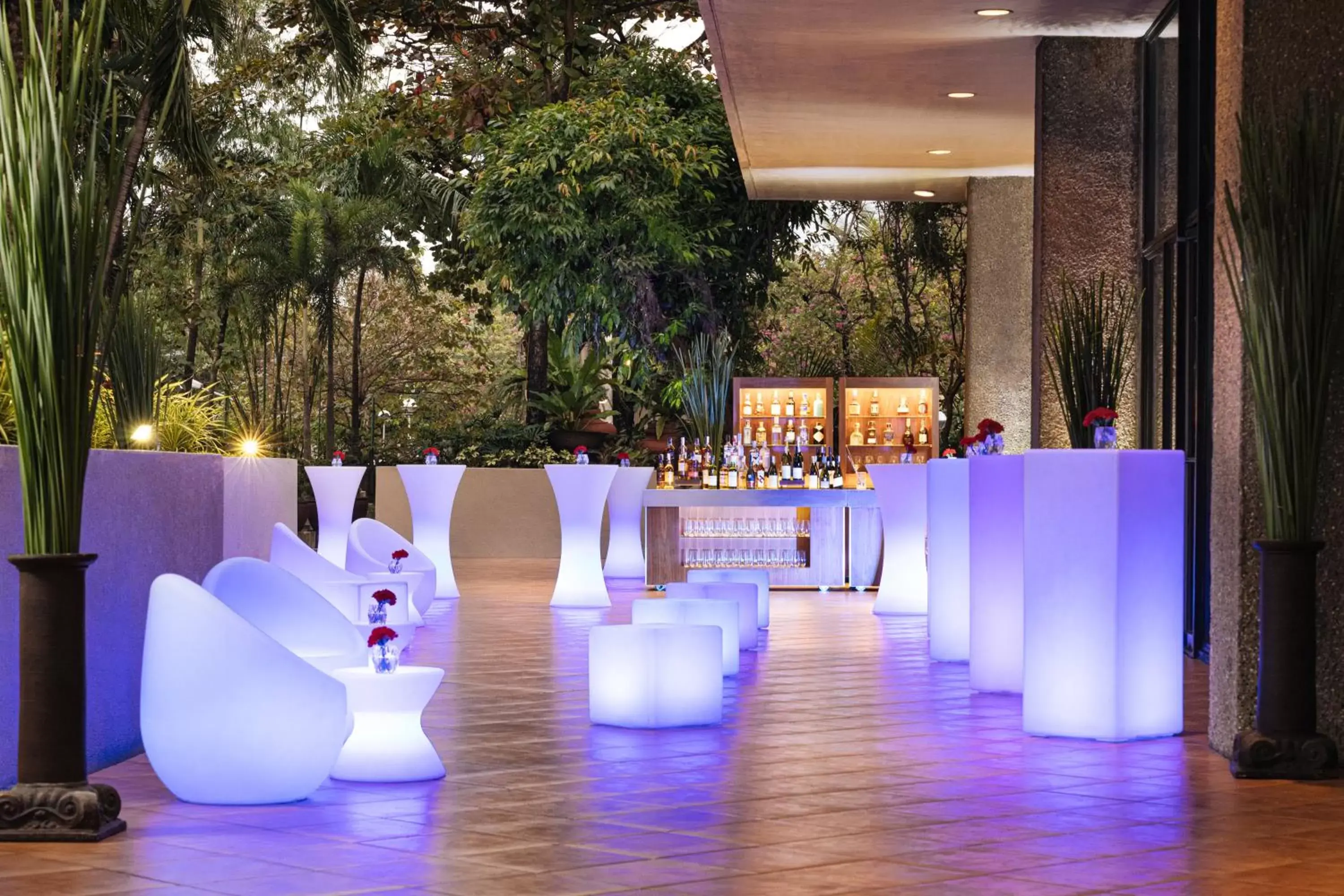 Garden, Swimming Pool in The Peninsula Manila