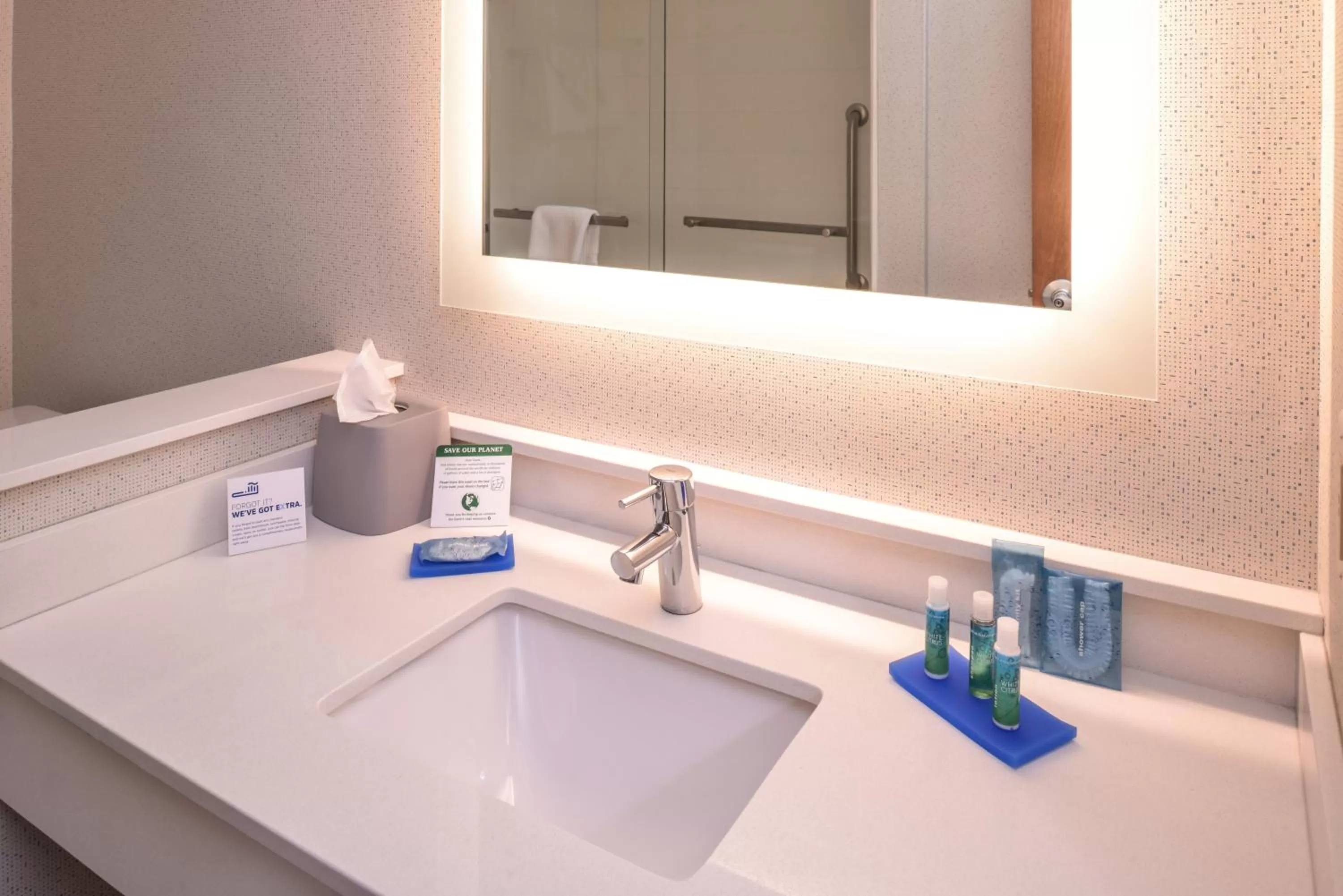 Bathroom in Holiday Inn Express Hotel & Suites Southfield - Detroit by IHG