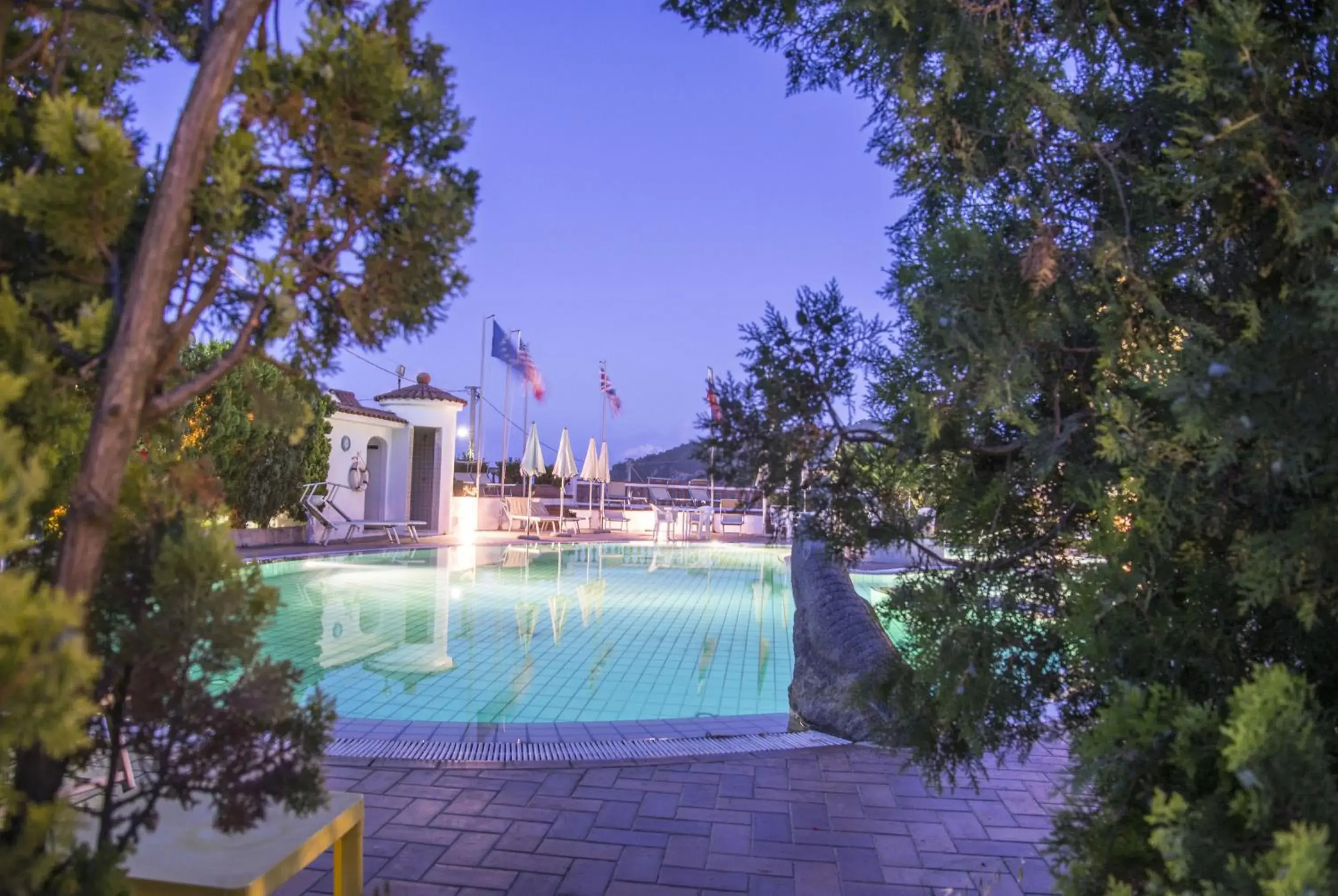 Garden, Swimming Pool in Hotel Internazionale