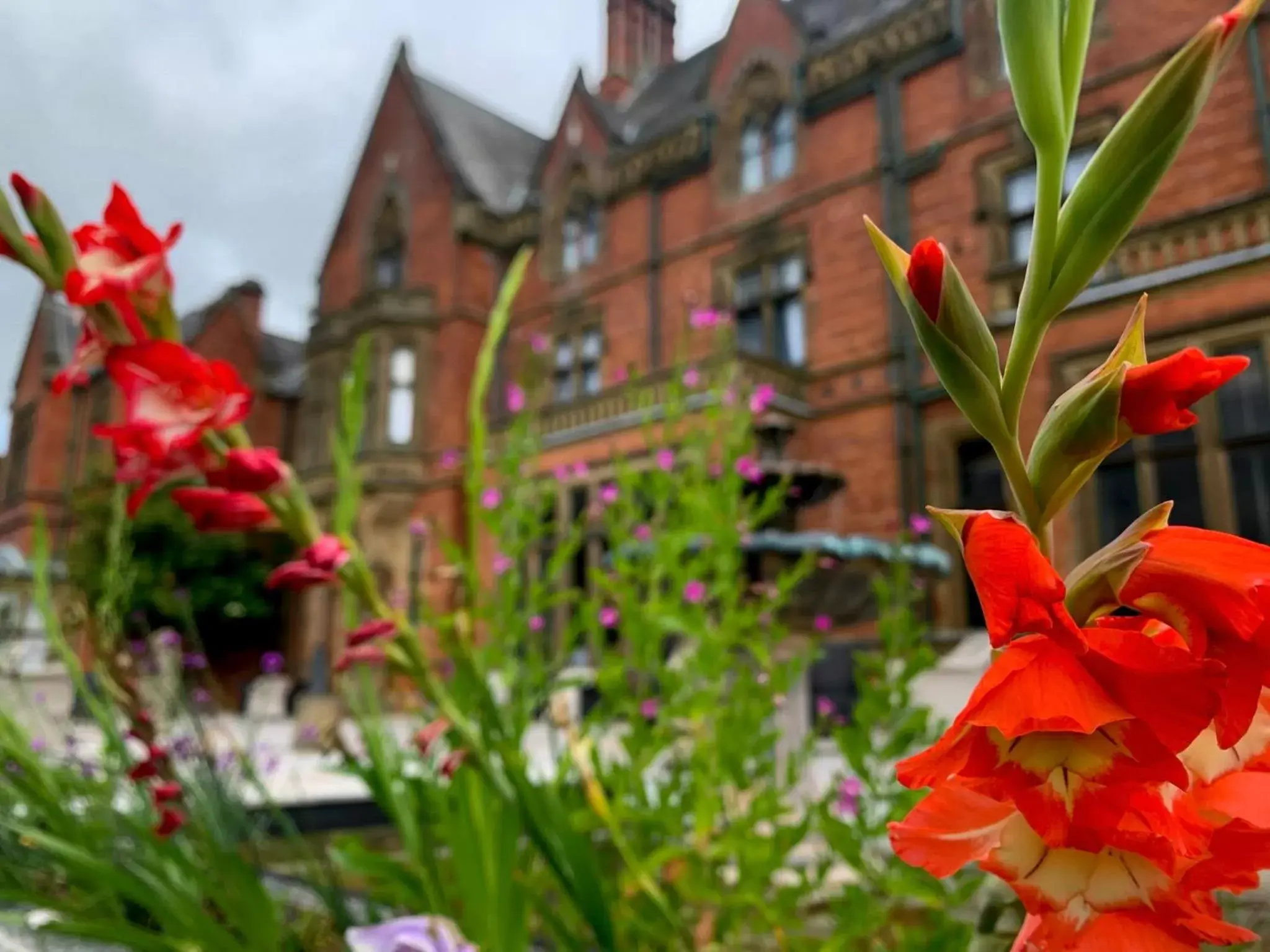 Garden, Property Building in Wroxall Abbey Hotel