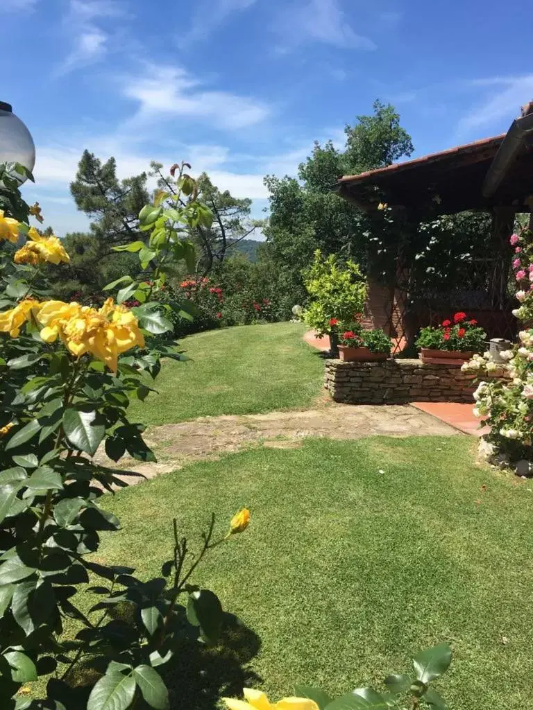 Garden in Villaspino