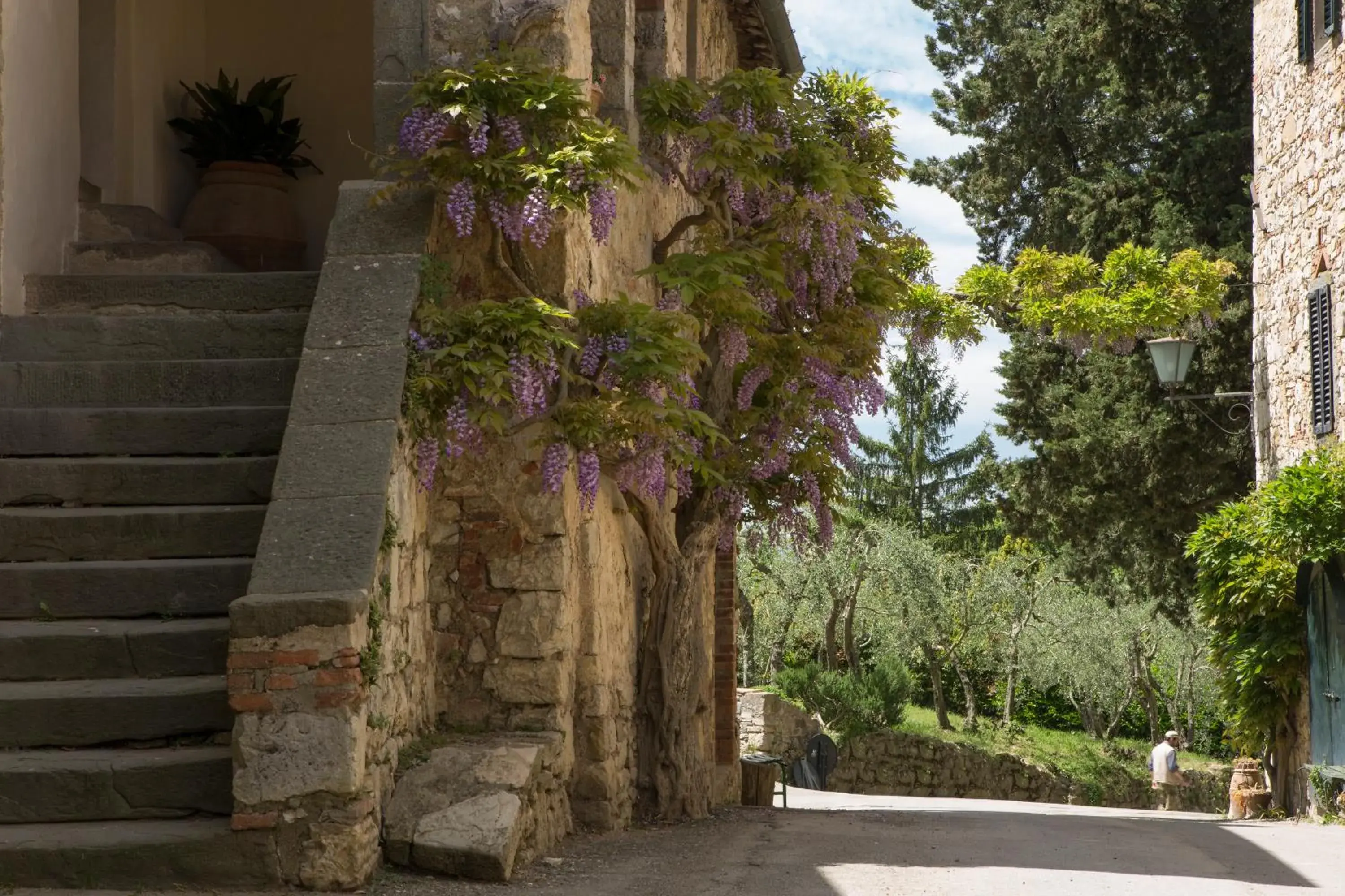 Property building in Castello di Fonterutoli Wine Resort