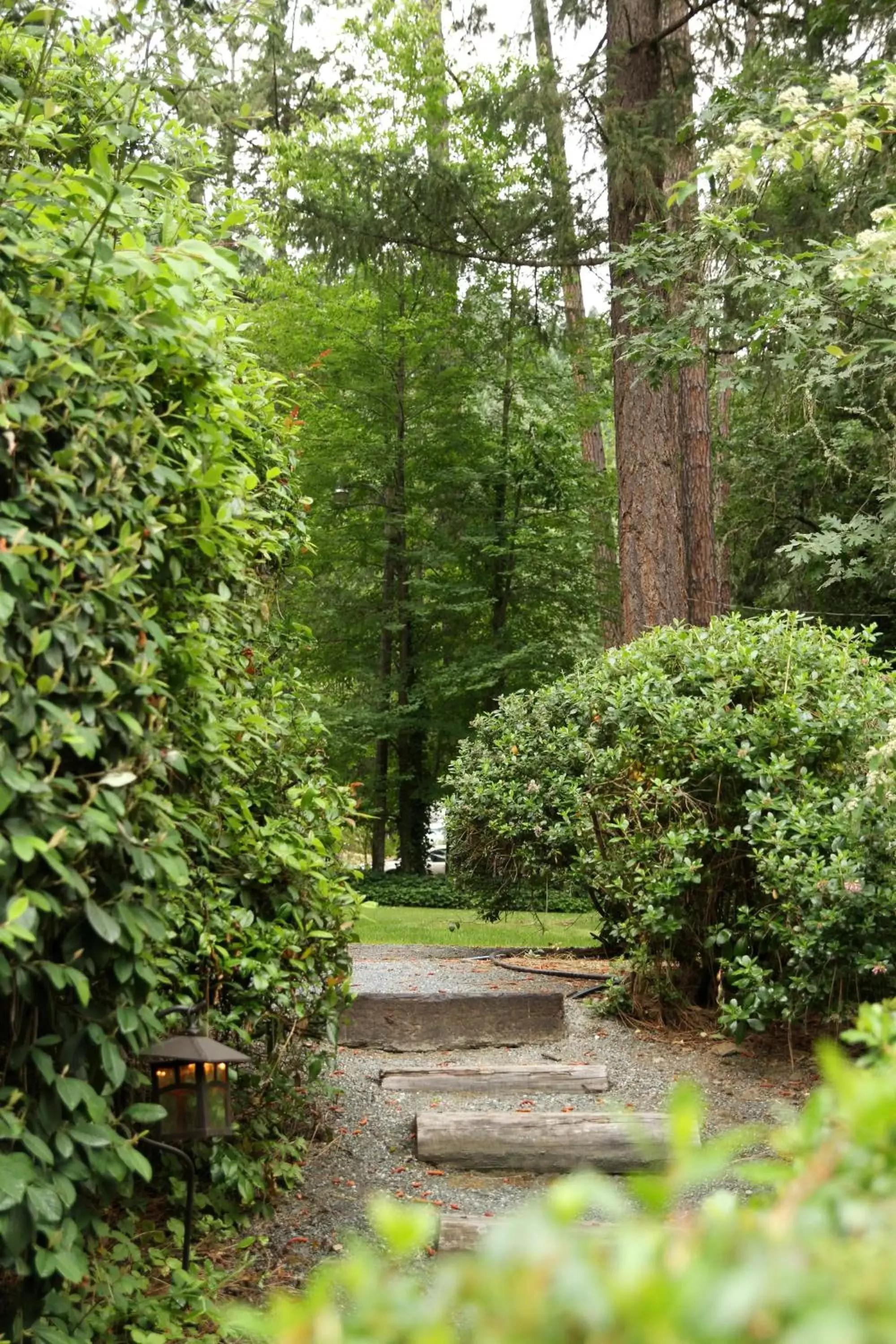 Garden in Weasku Inn