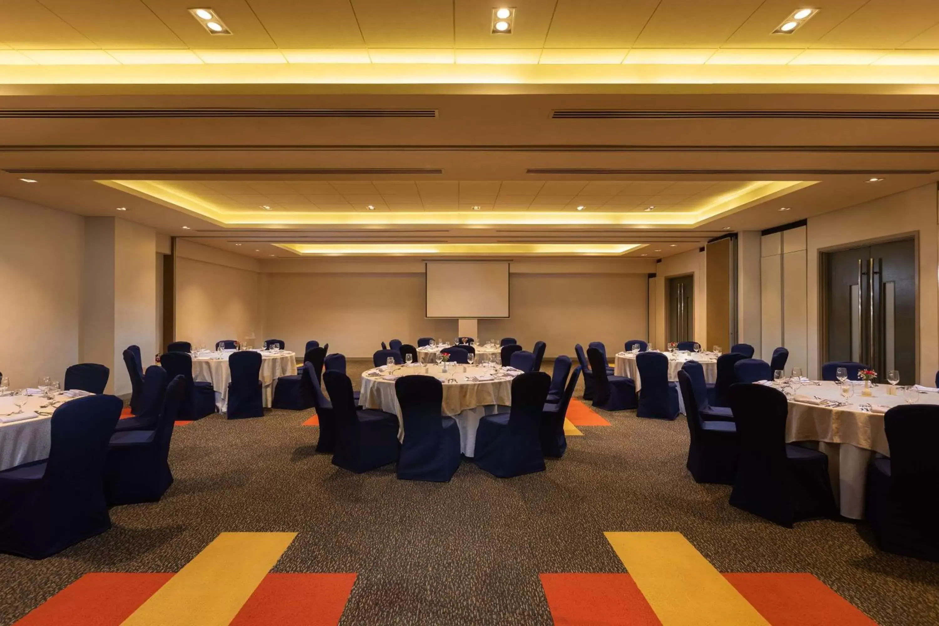 Meeting/conference room, Banquet Facilities in Park Inn By Radisson Clark