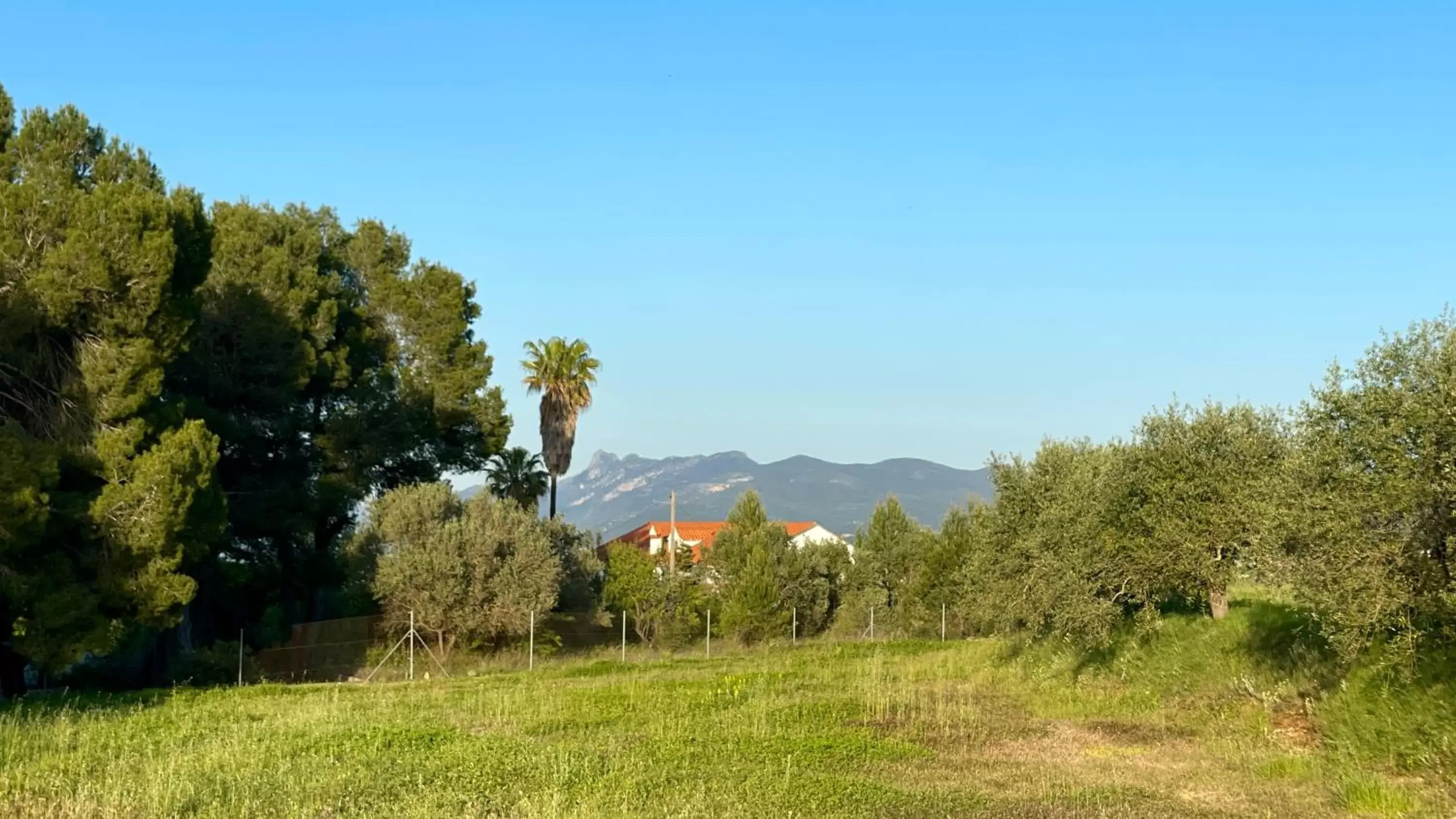 View (from property/room) in Finca La Higuera - Boutique B&B