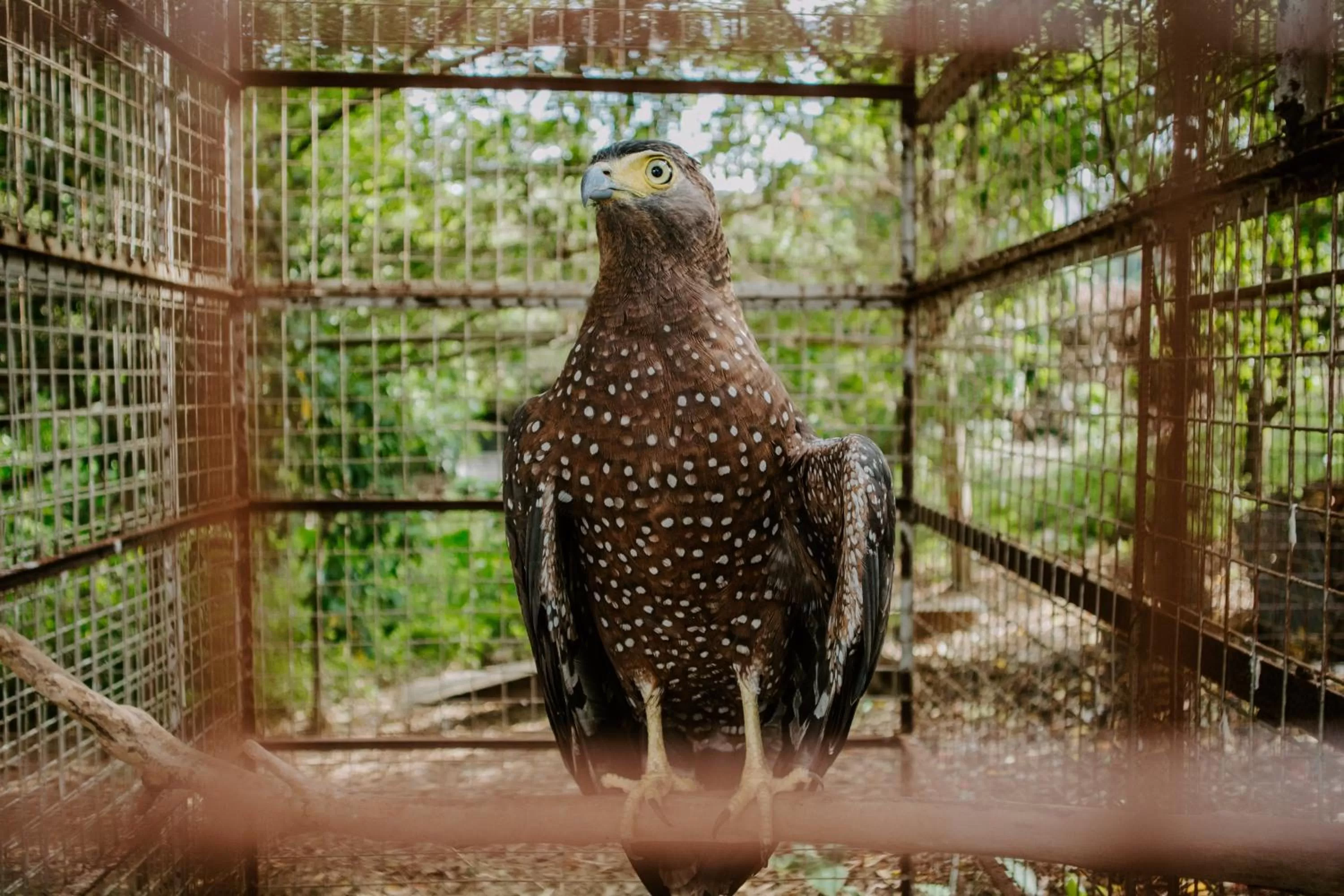 Day in Estancia de lorenzo