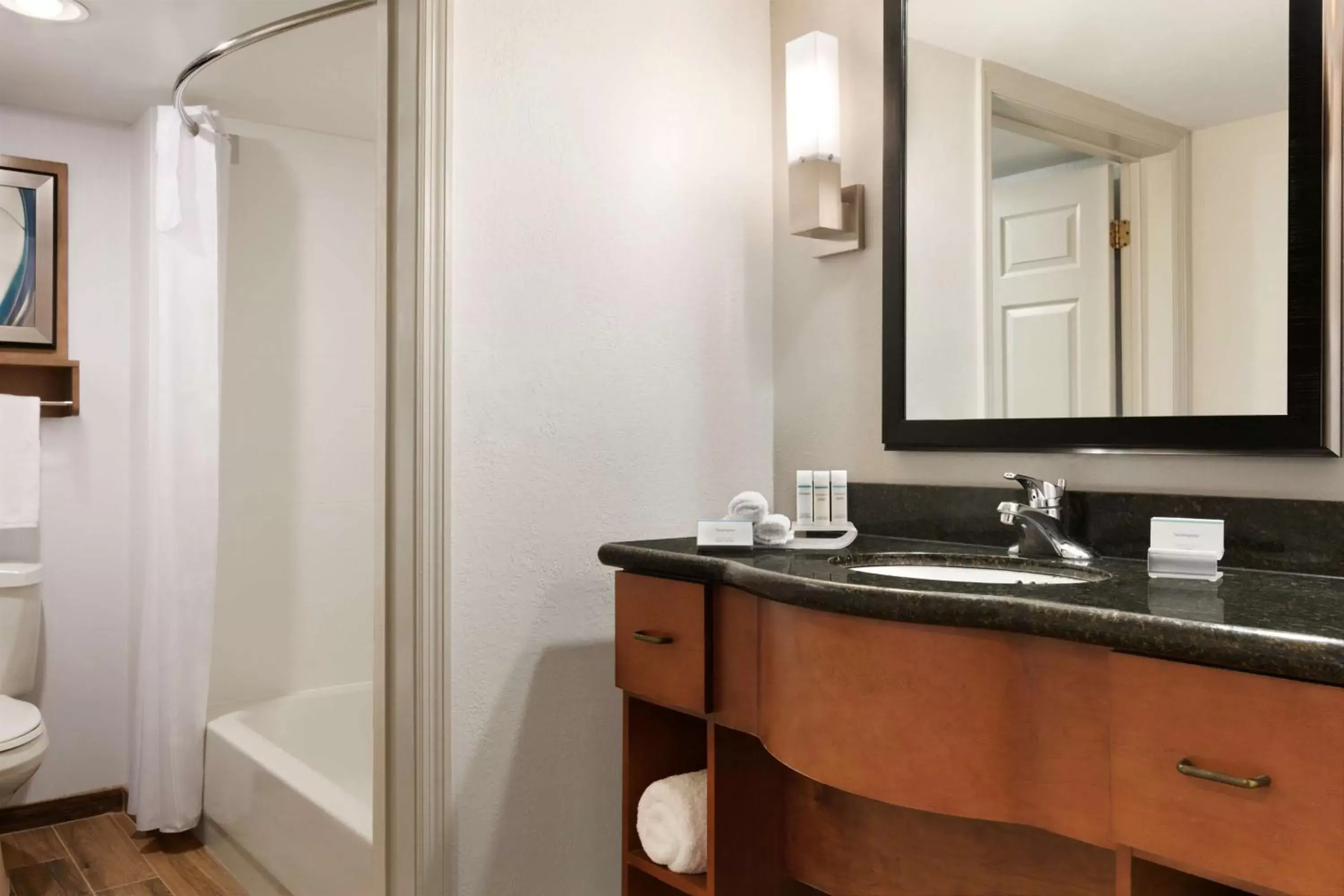 Bathroom in Homewood Suites by Hilton Greensboro