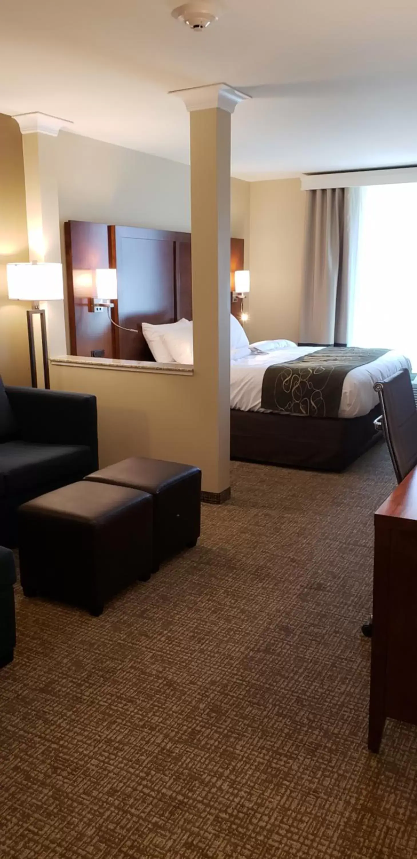 Photo of the whole room in Comfort Suites Denver near Anschutz Medical Campus