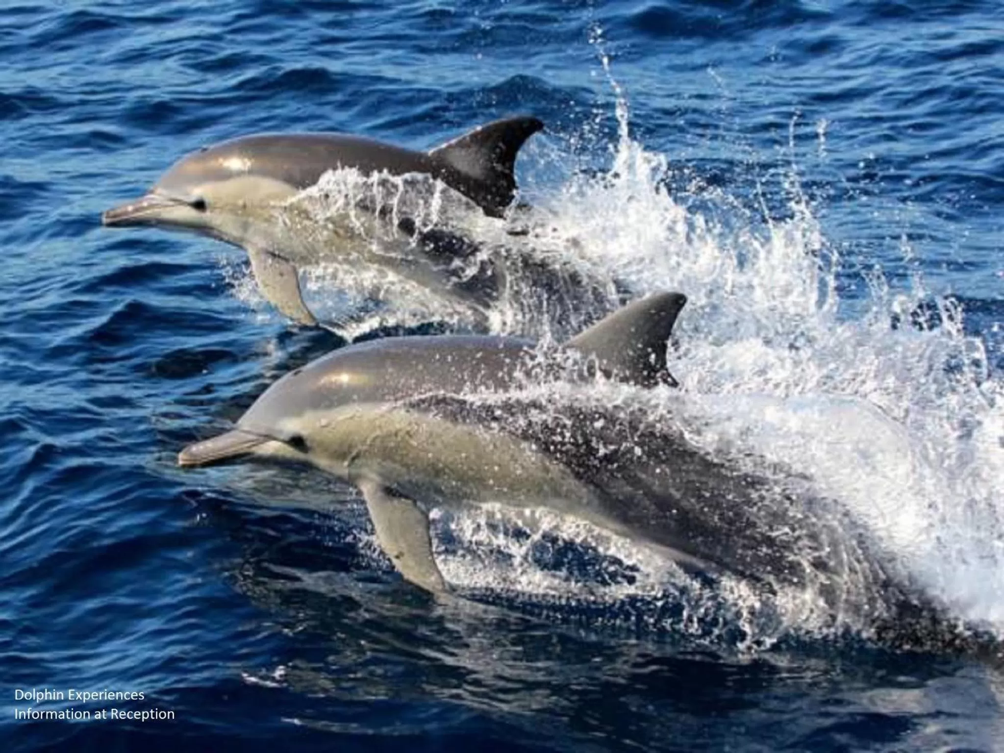 Area and facilities in Fern Bay Motel