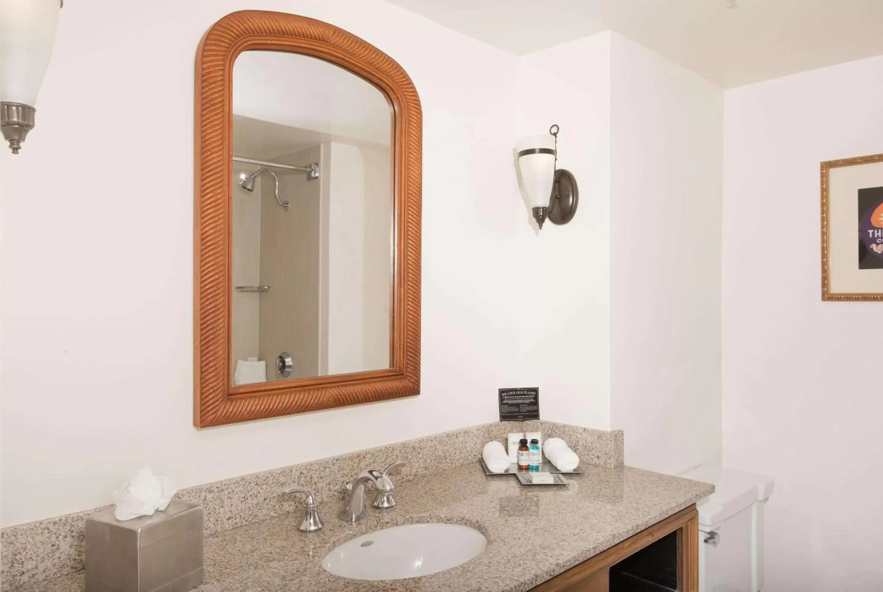 Bathroom in The Antlers, A Wyndham Hotel