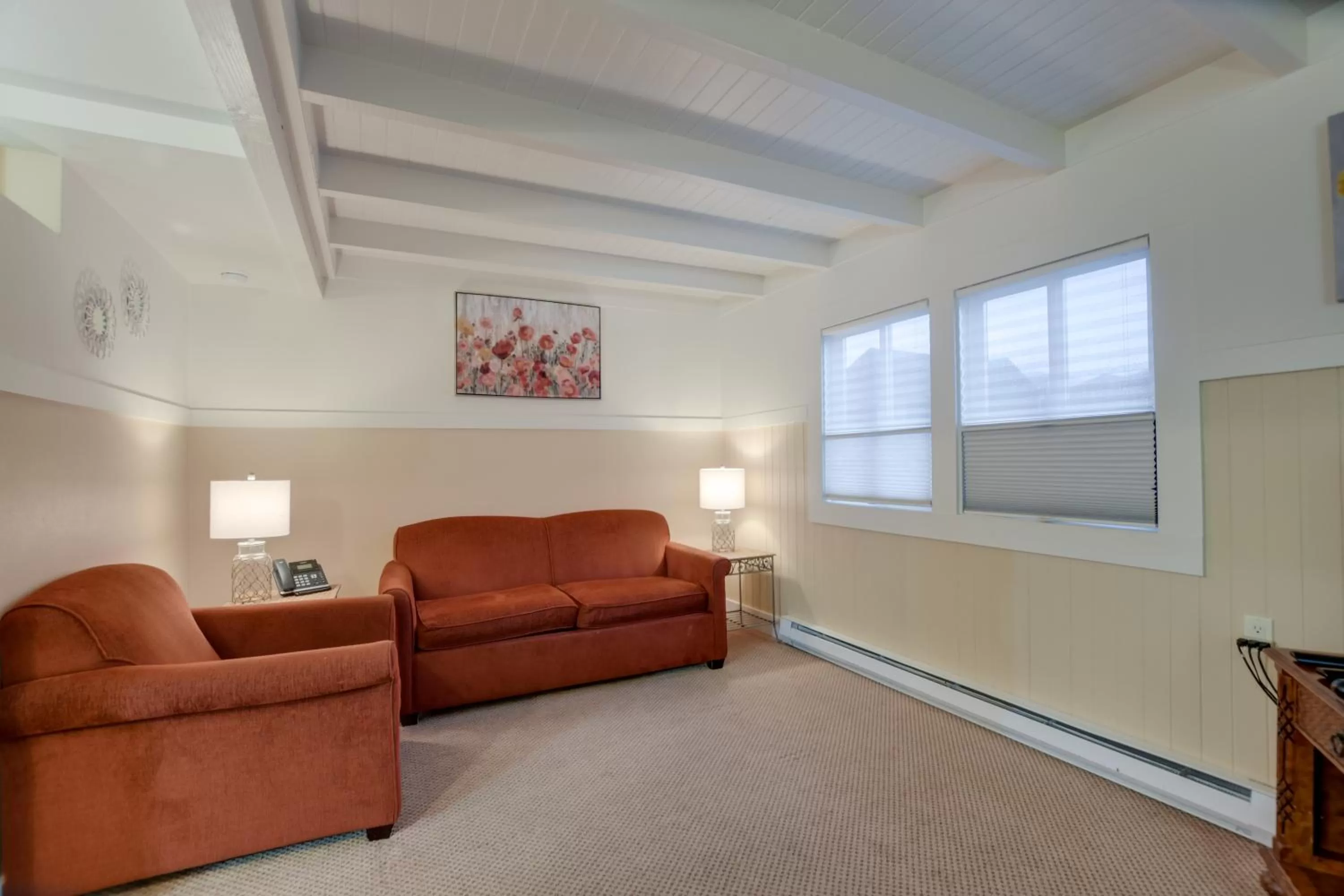 Living room in The Waves