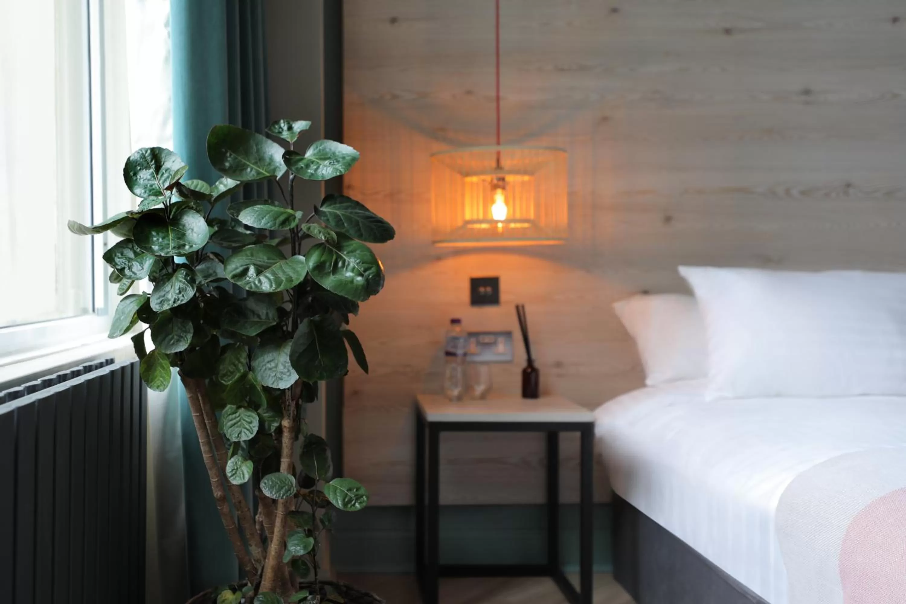 Private Double Bed - Shared Facilities  in Revolver