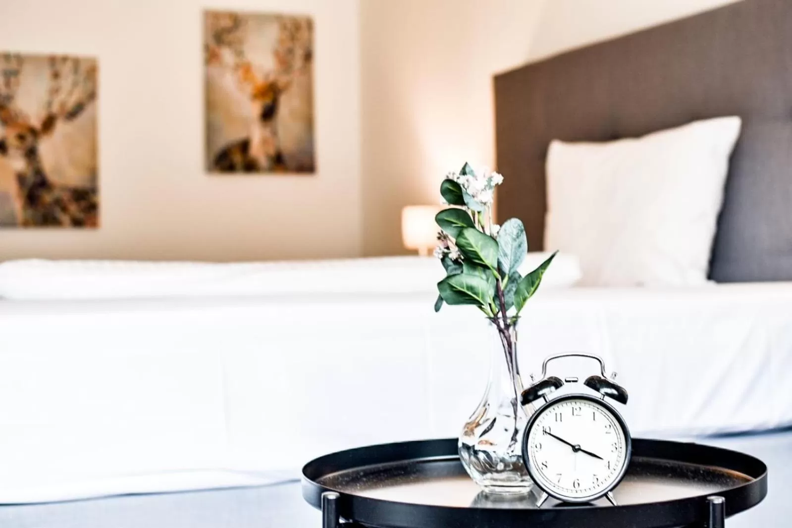 Bed in Parkhotel FRITZ am Brunnen