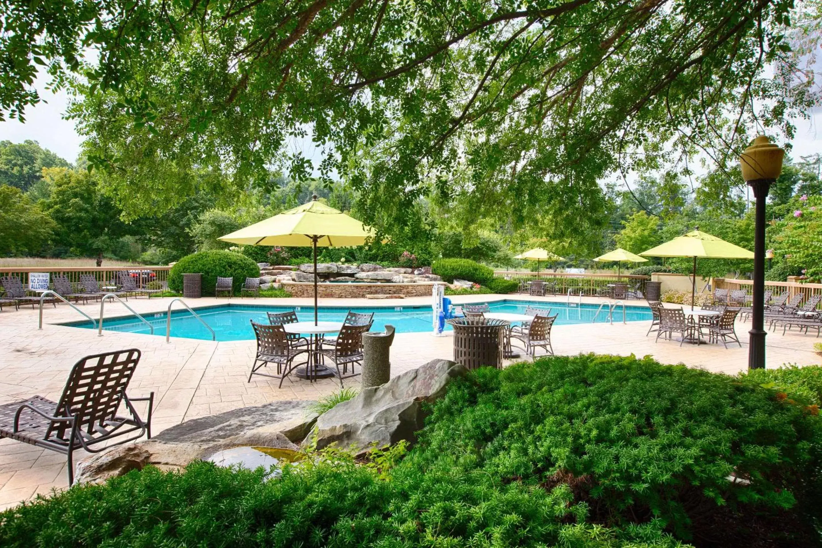 Activities, Swimming Pool in Quality Inn Near the Island Pigeon Forge