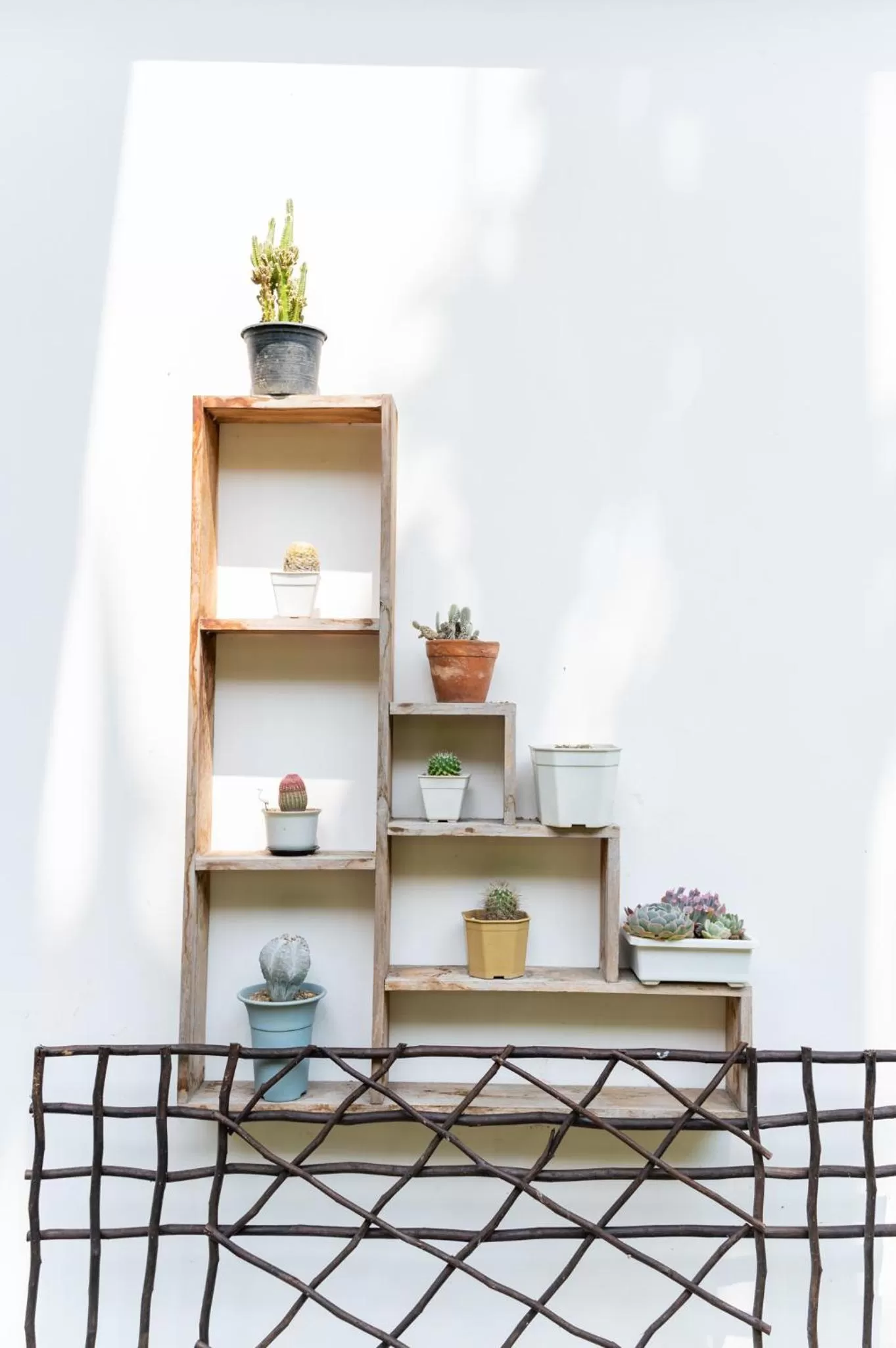 Property building in นายก่ายหมอน Nine-Kai-Mon