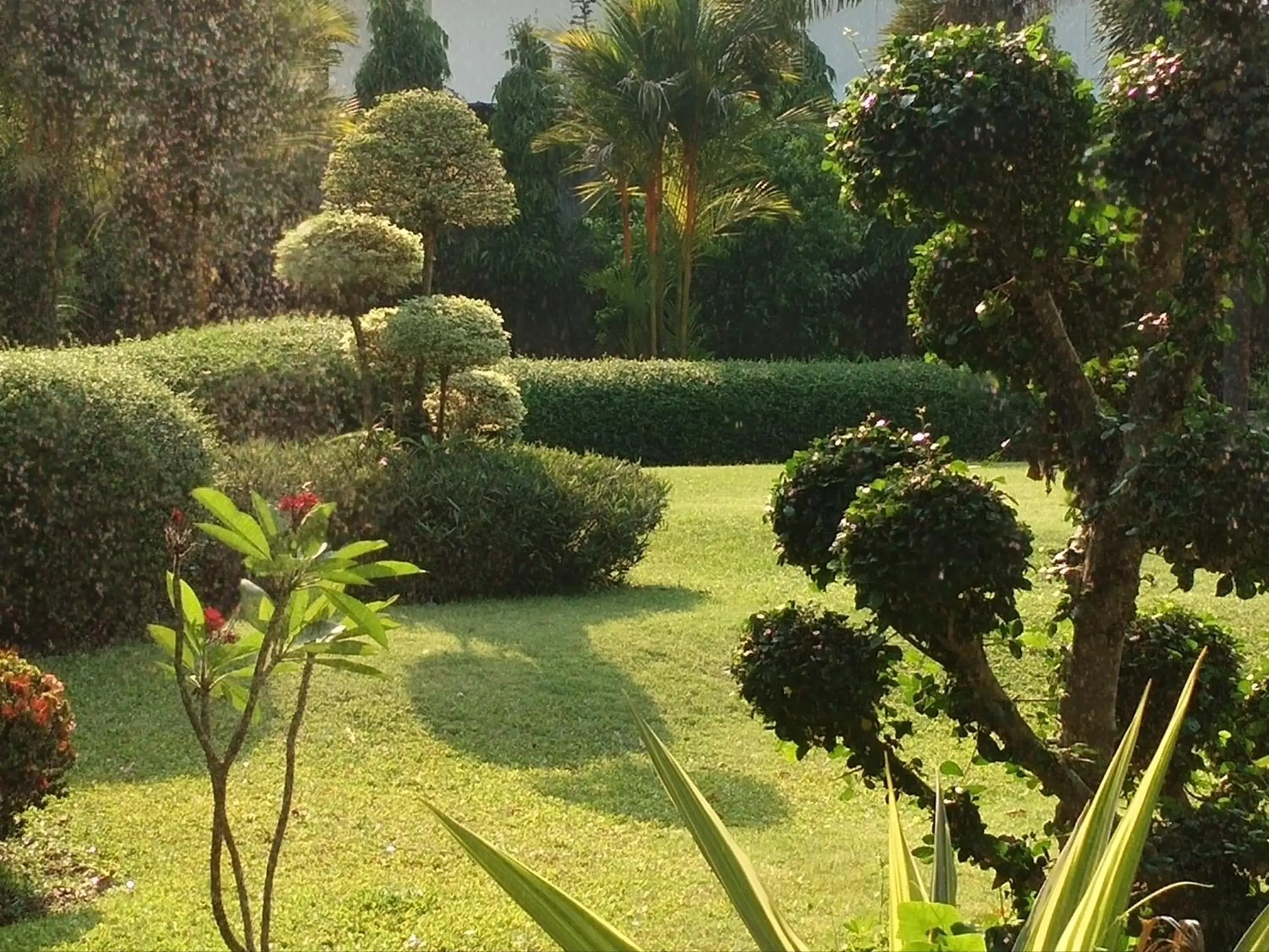 Garden in Swankaburi Boutique Hotel