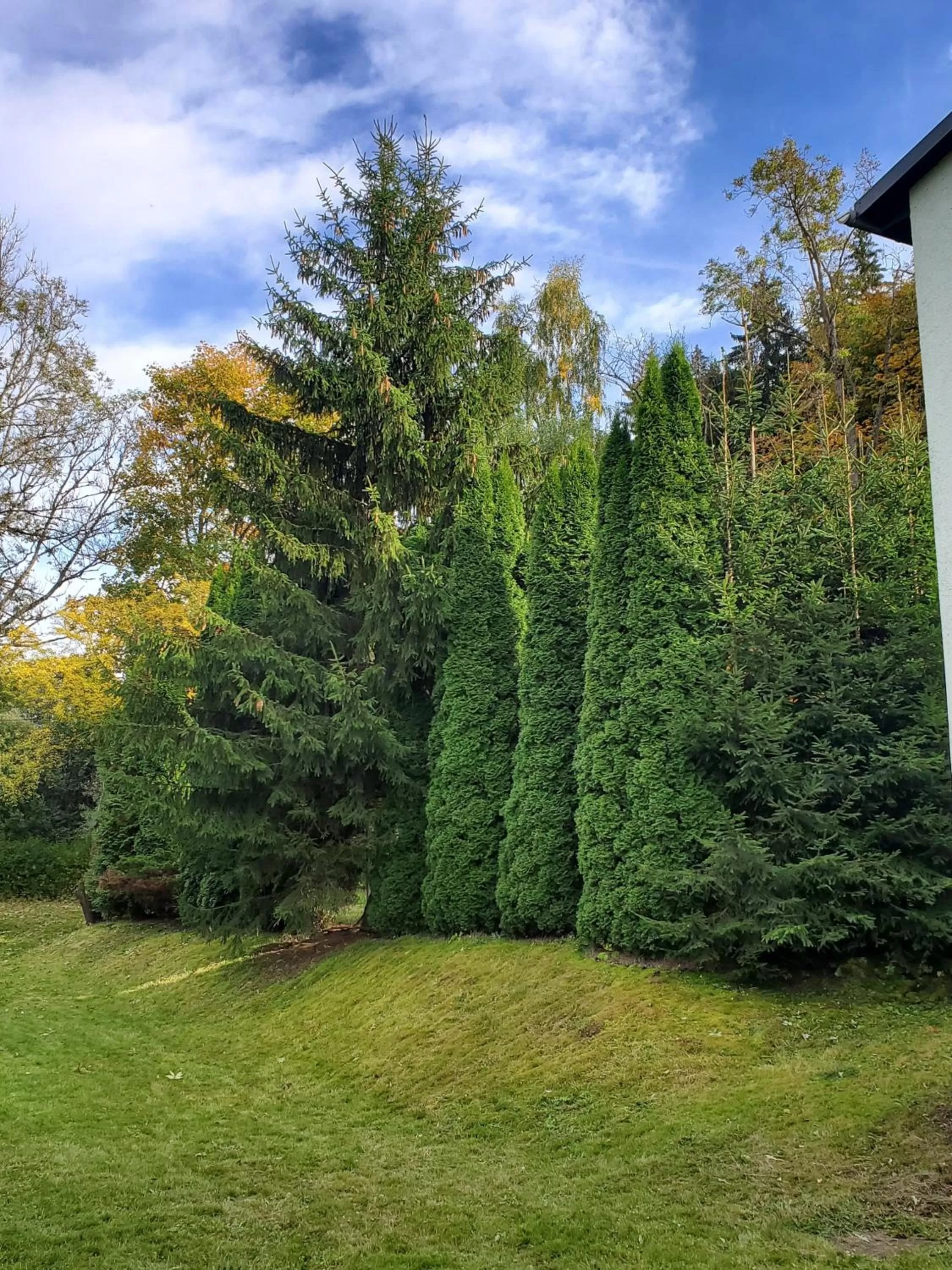 Area and facilities in Hotel Bielatal