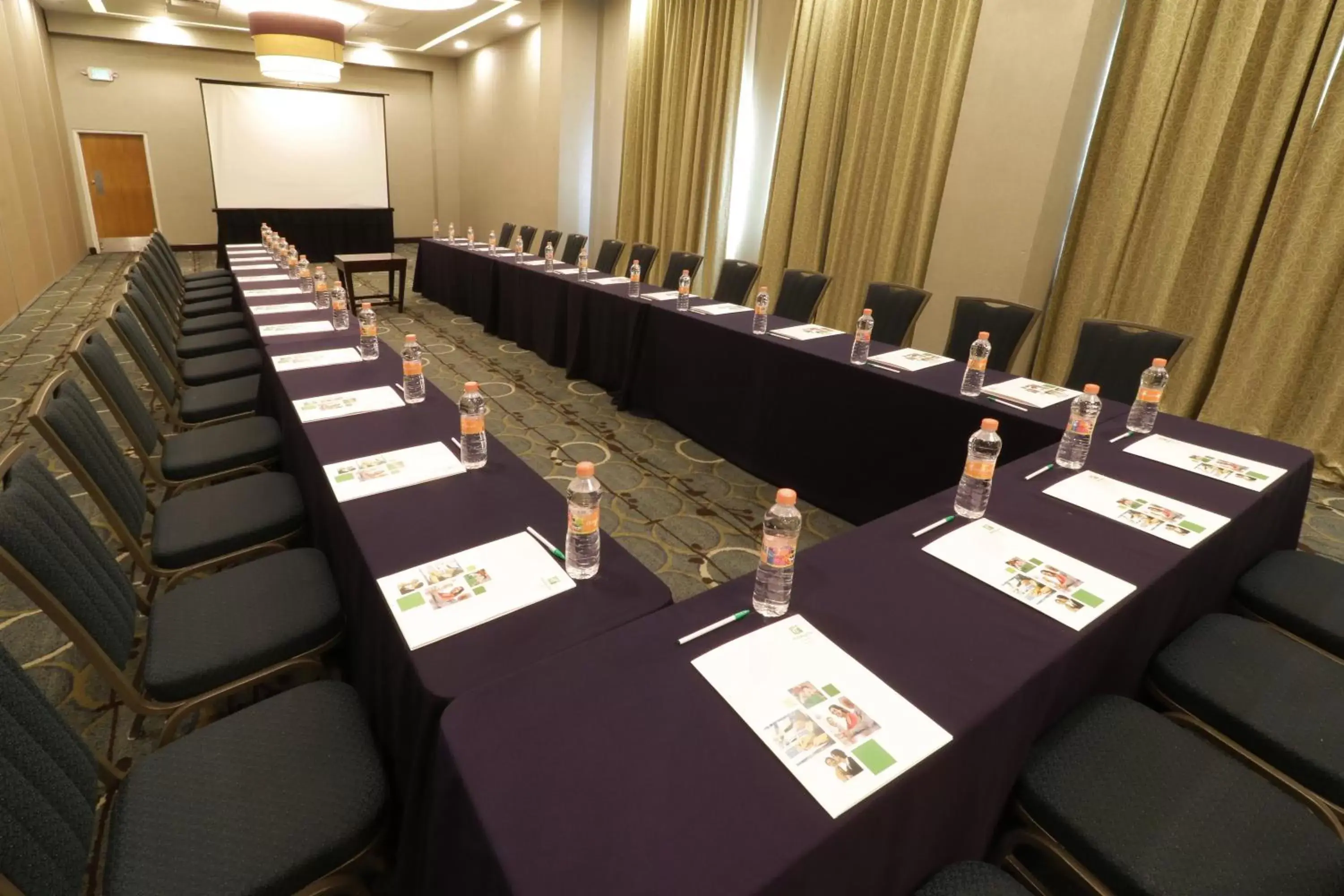 Meeting/conference room, Business Area/Conference Room in Holiday Inn Hotel & Suites Hermosillo Aeropuerto, an IHG Hotel