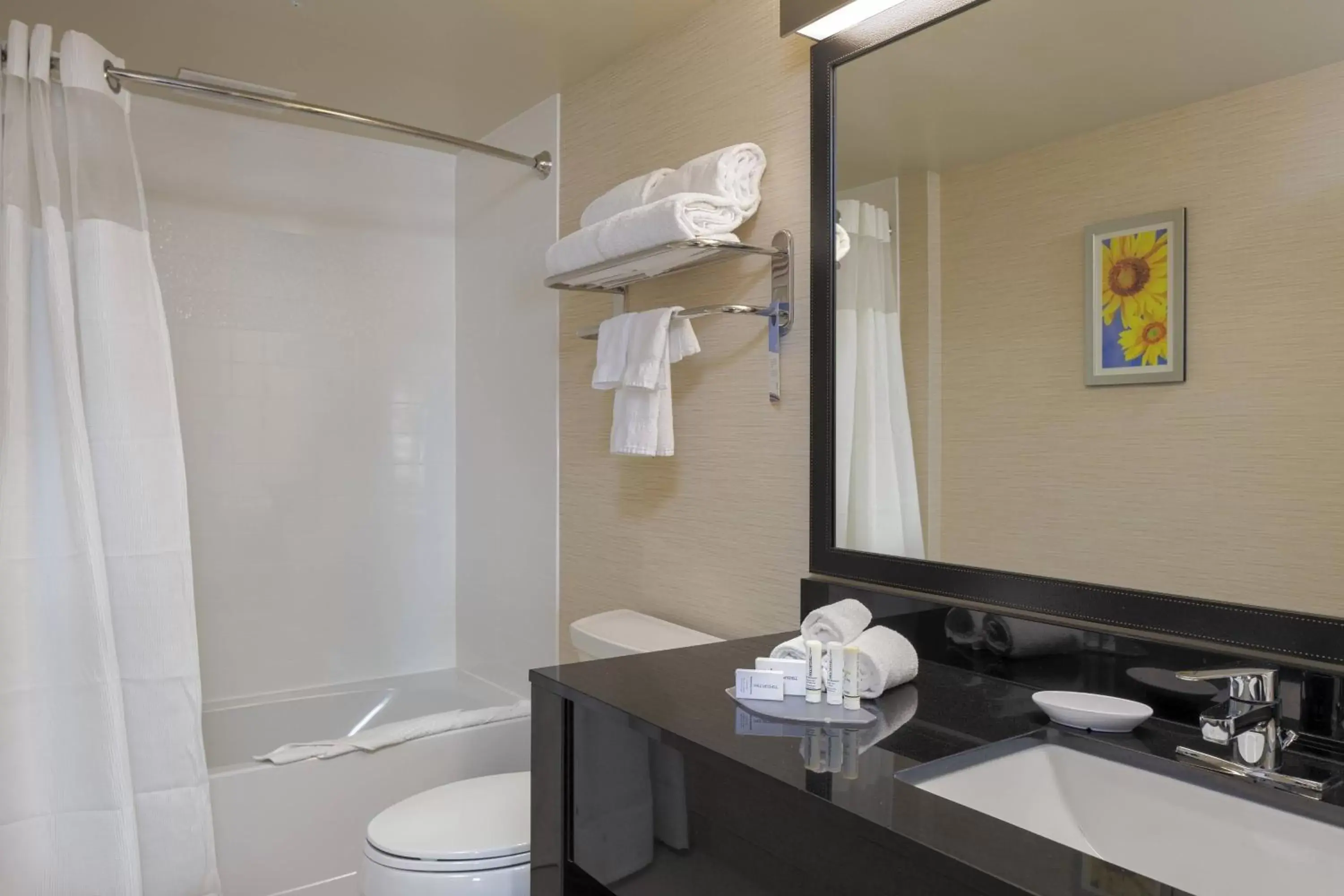 Bathroom in Fairfield Inn & Suites by Marriott Belleville