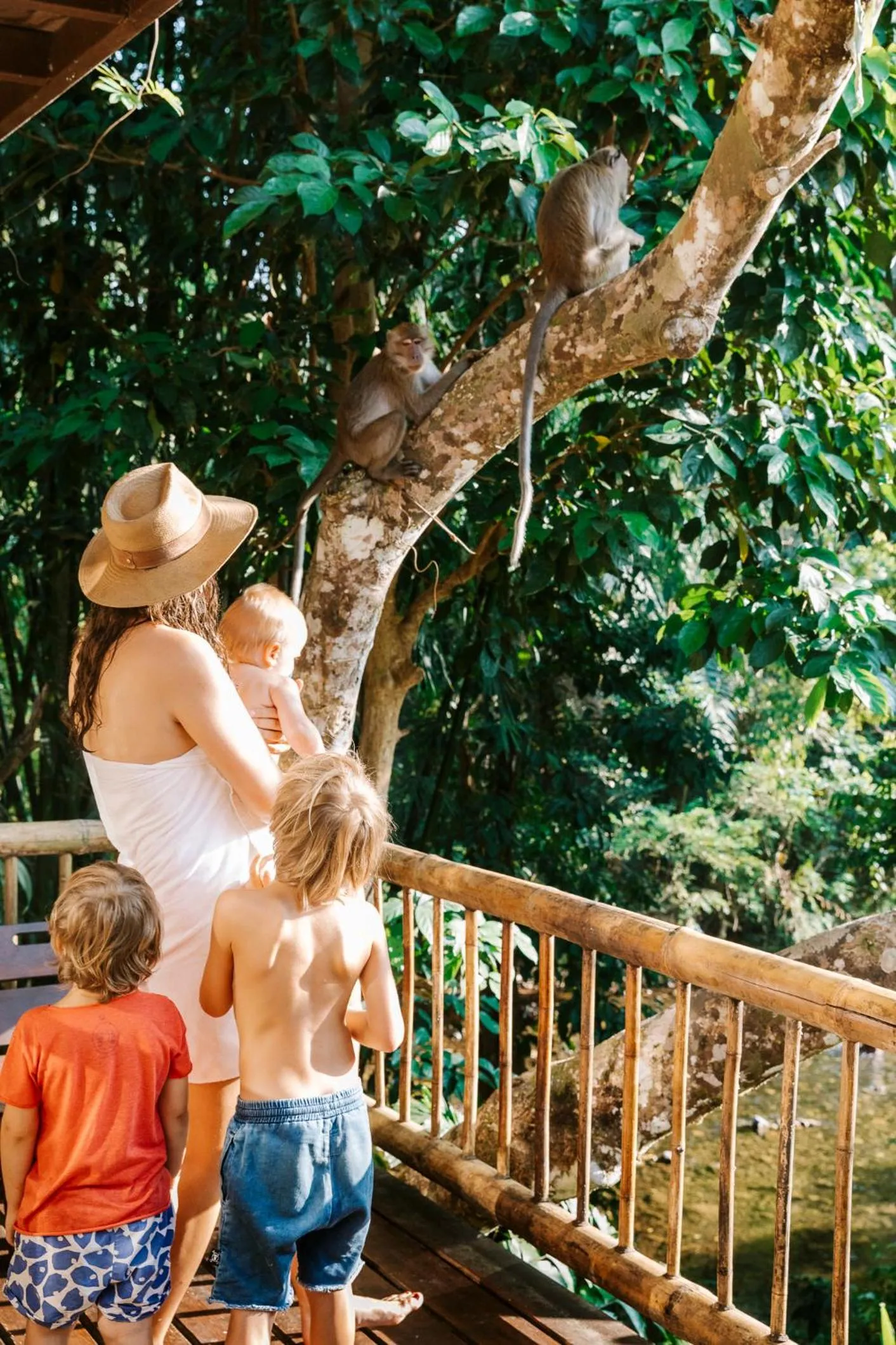 Animals in Our Jungle Camp - Eco Resort