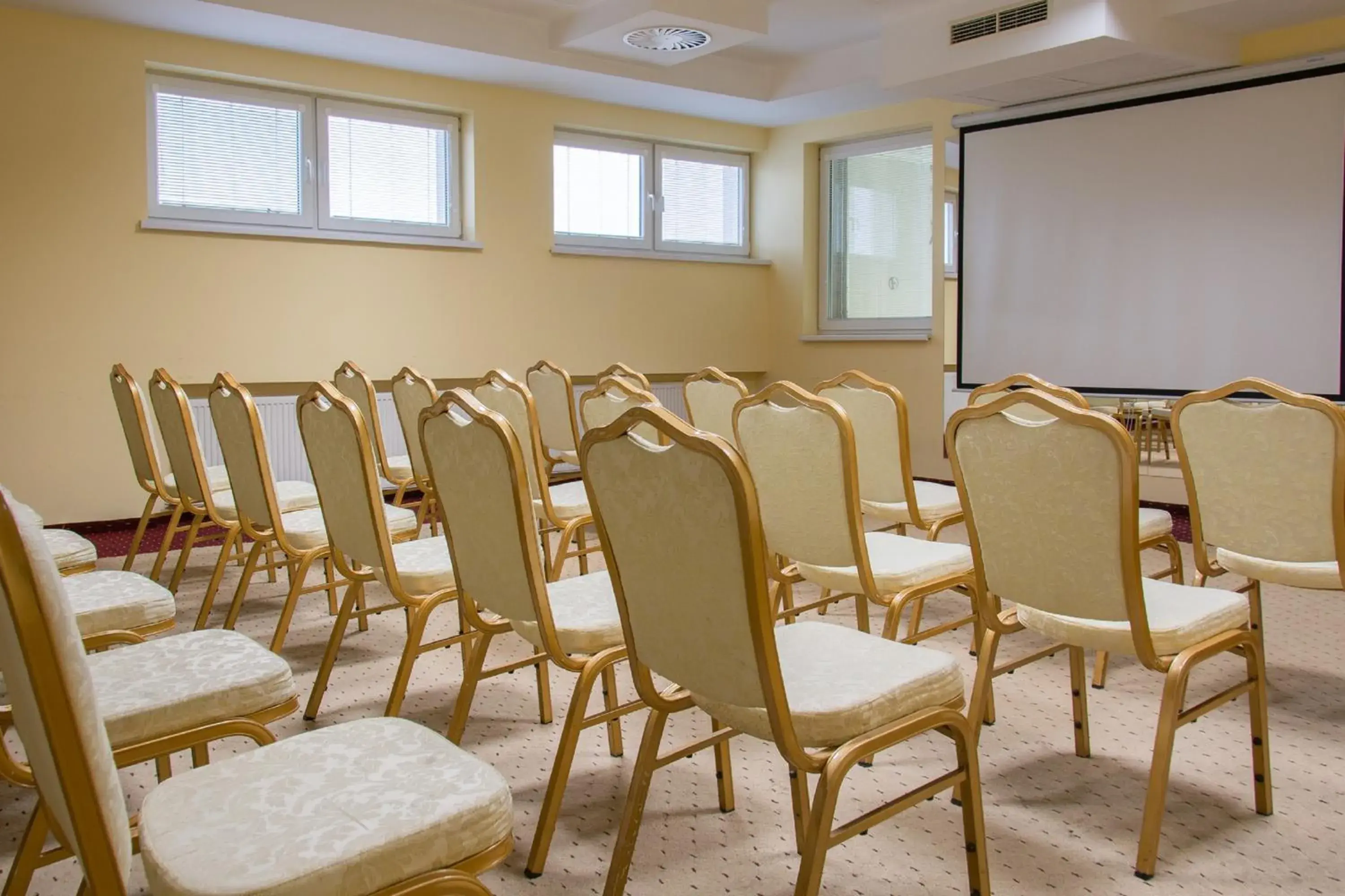 Meeting/conference room in Palace Hotel Polom