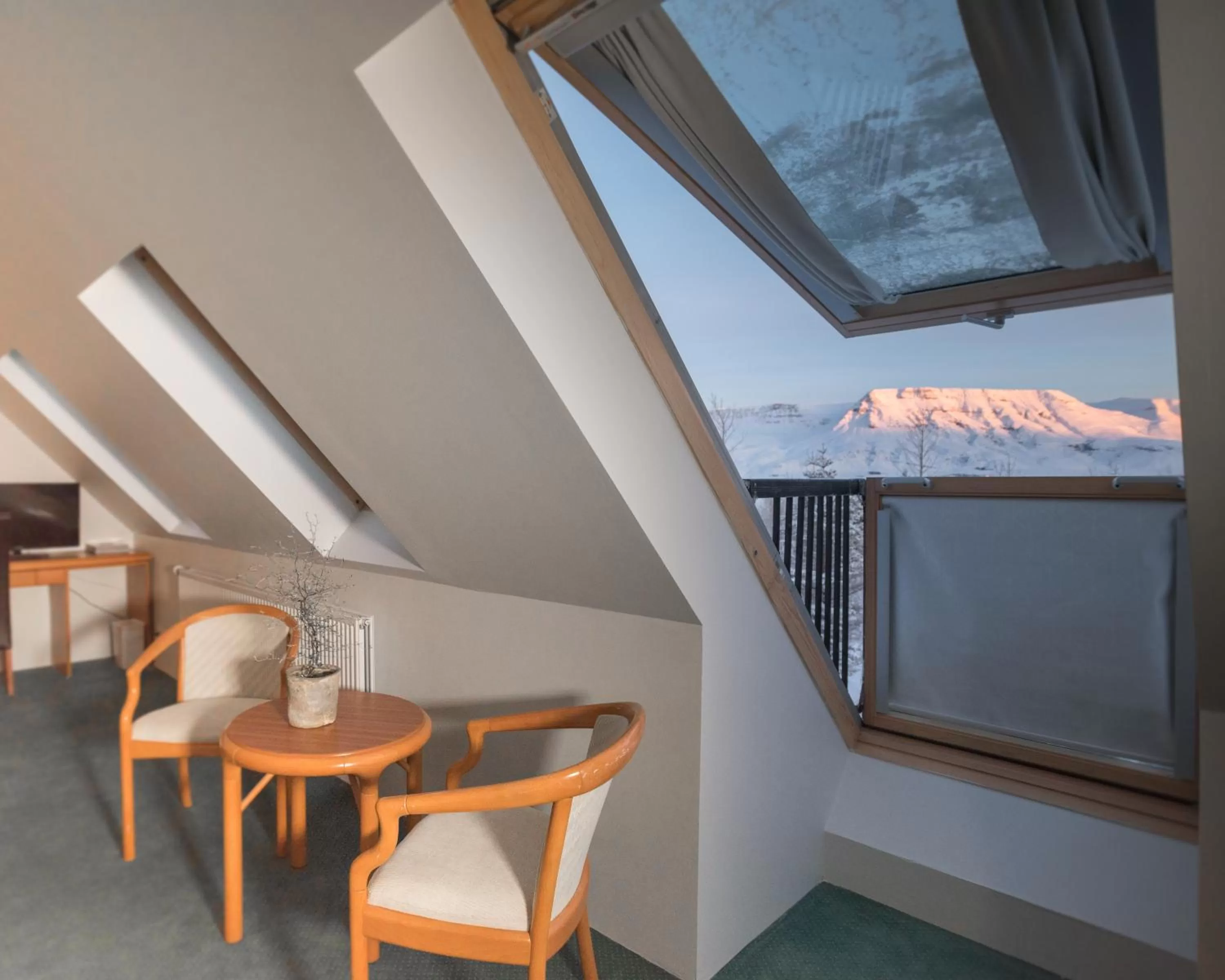 Balcony/Terrace in Hotel Laxnes