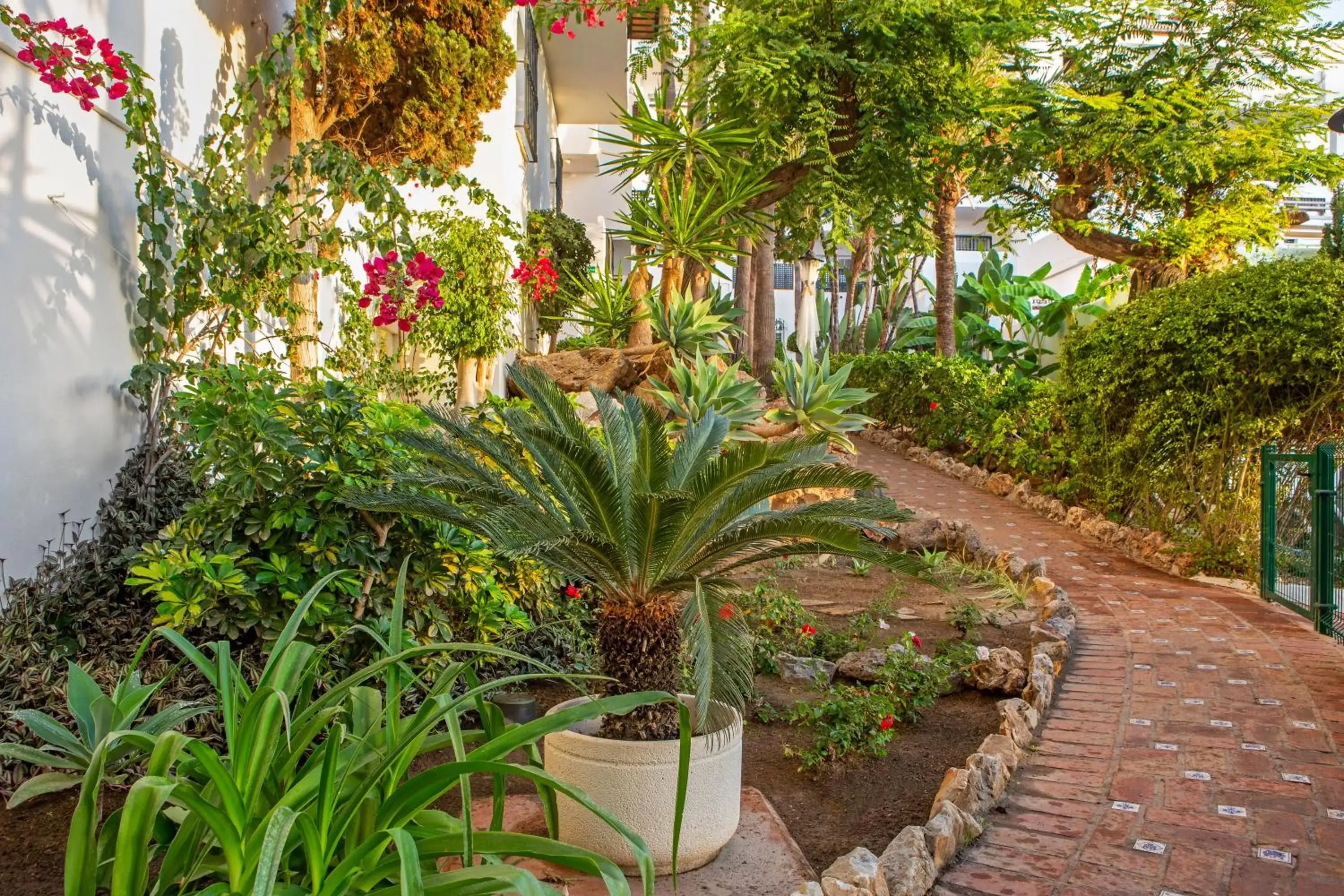 Spring, Garden in Royal Oasis Club at Pueblo Quinta