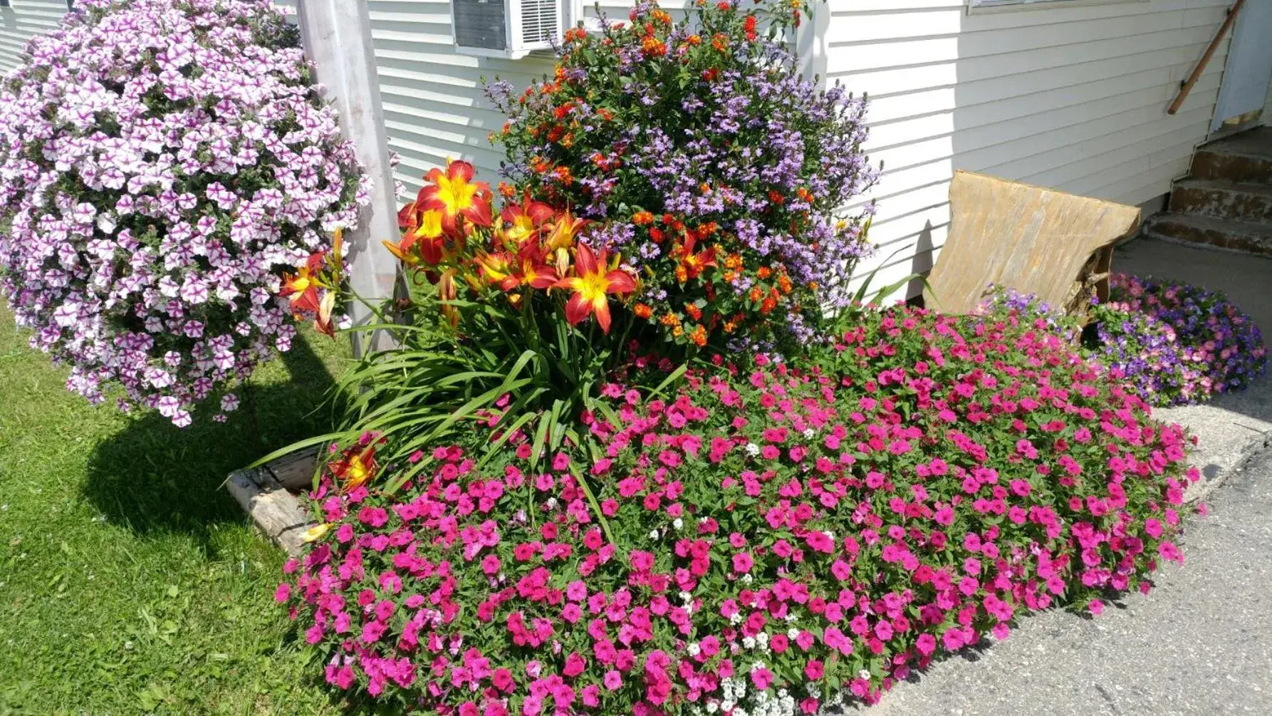 Garden in Sunset Motel of St. Ignace