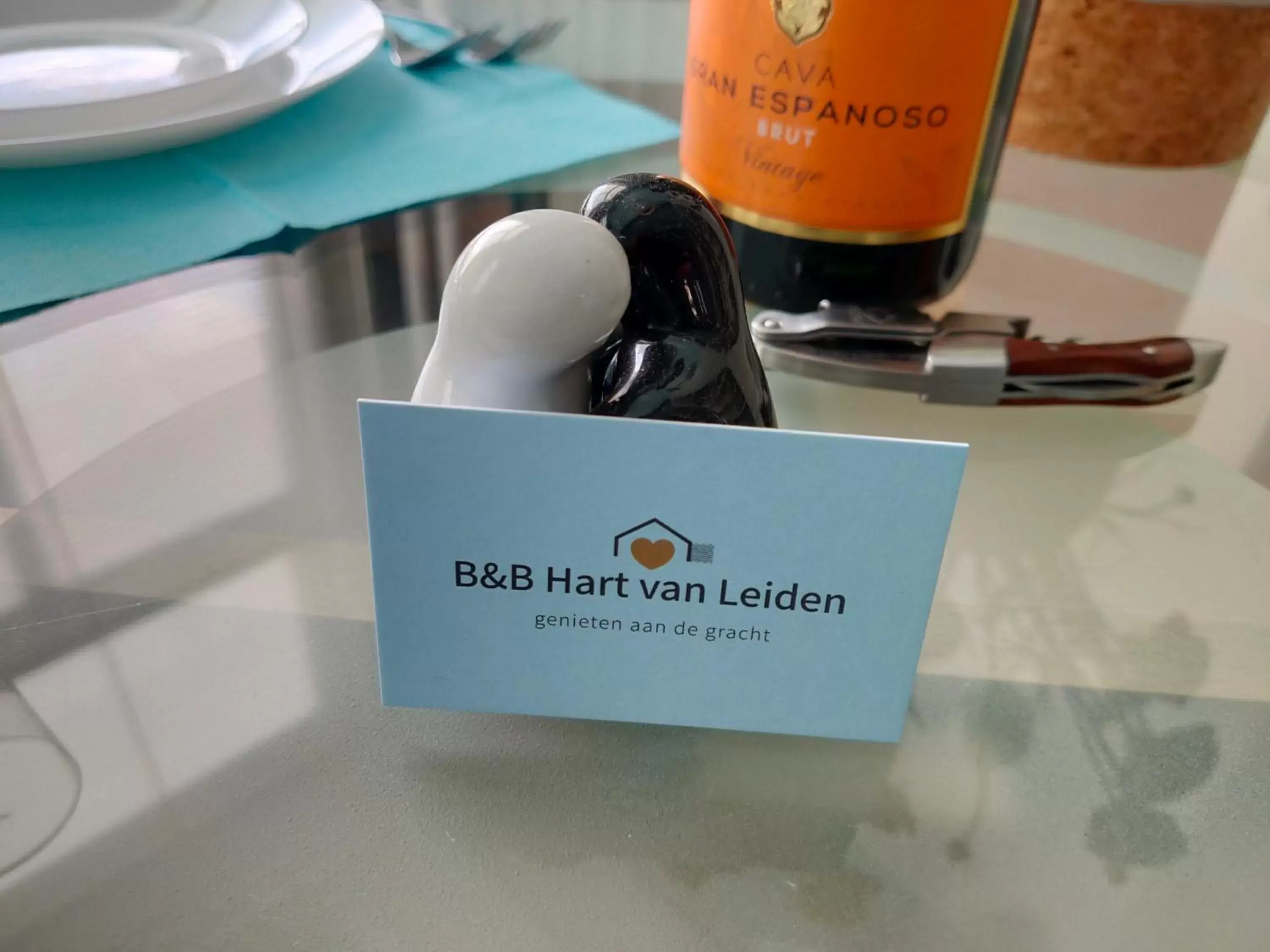 B&B Hart van Leiden