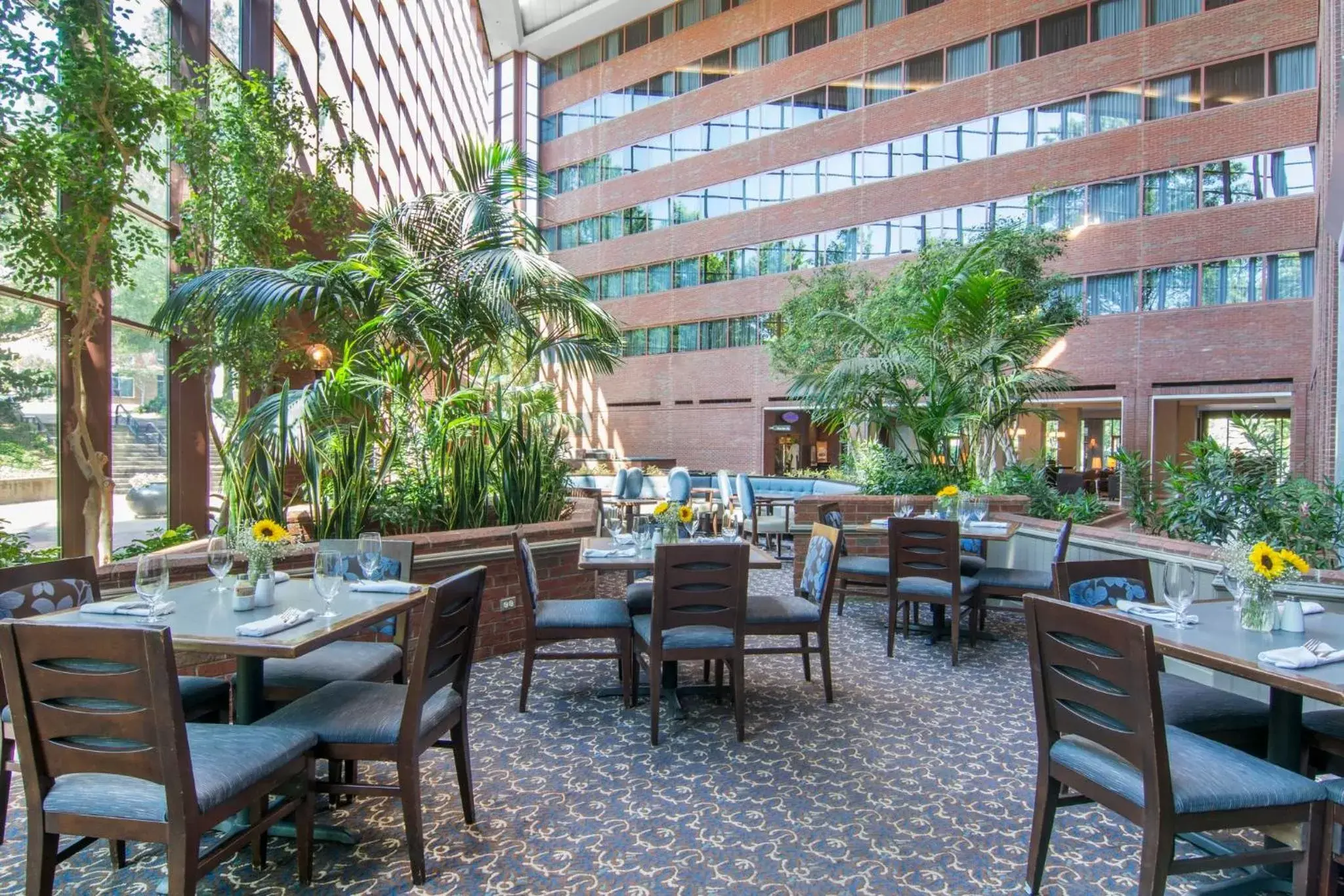 Restaurant/Places to Eat in Omni Charlottesville Hotel